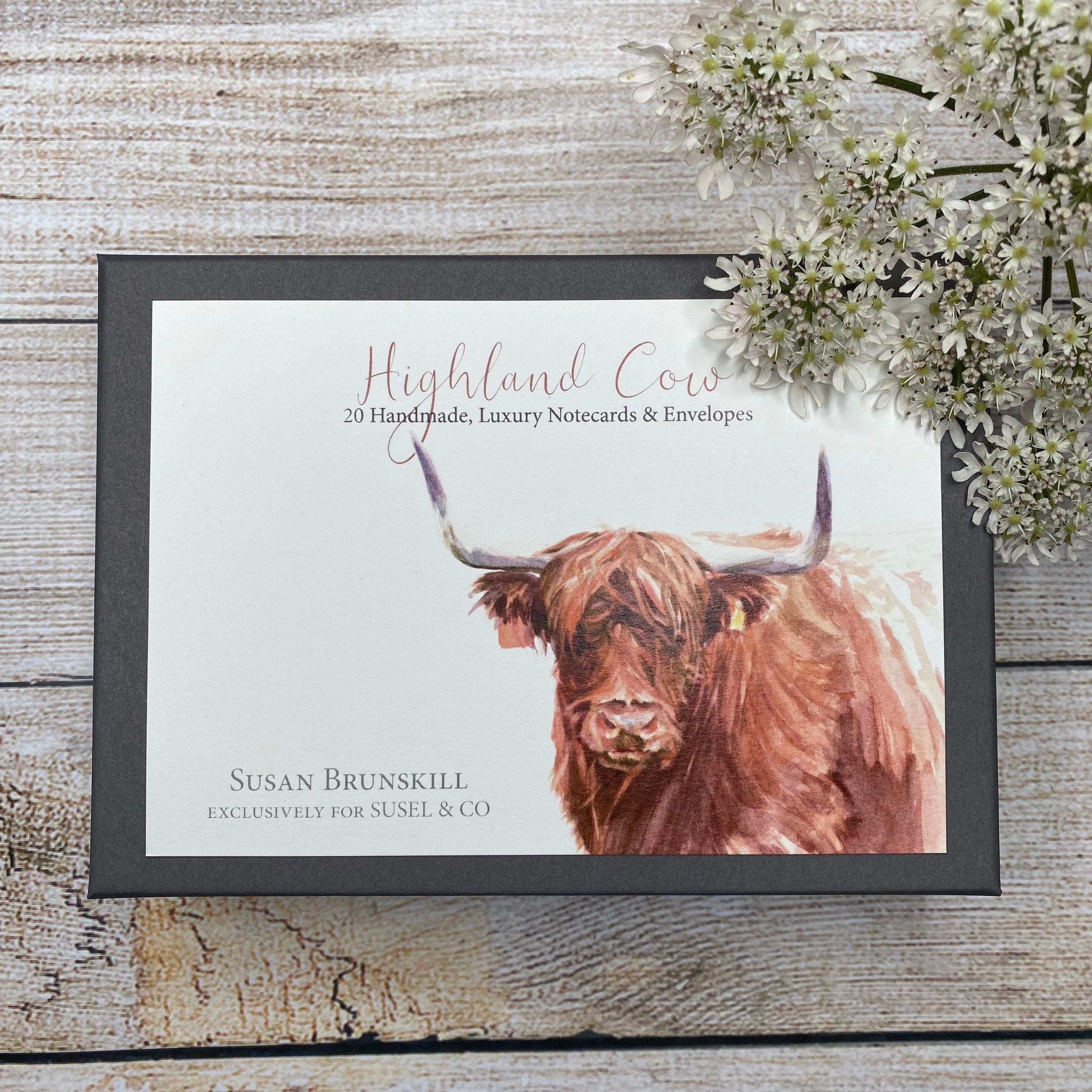 Highland Cow - Notecards