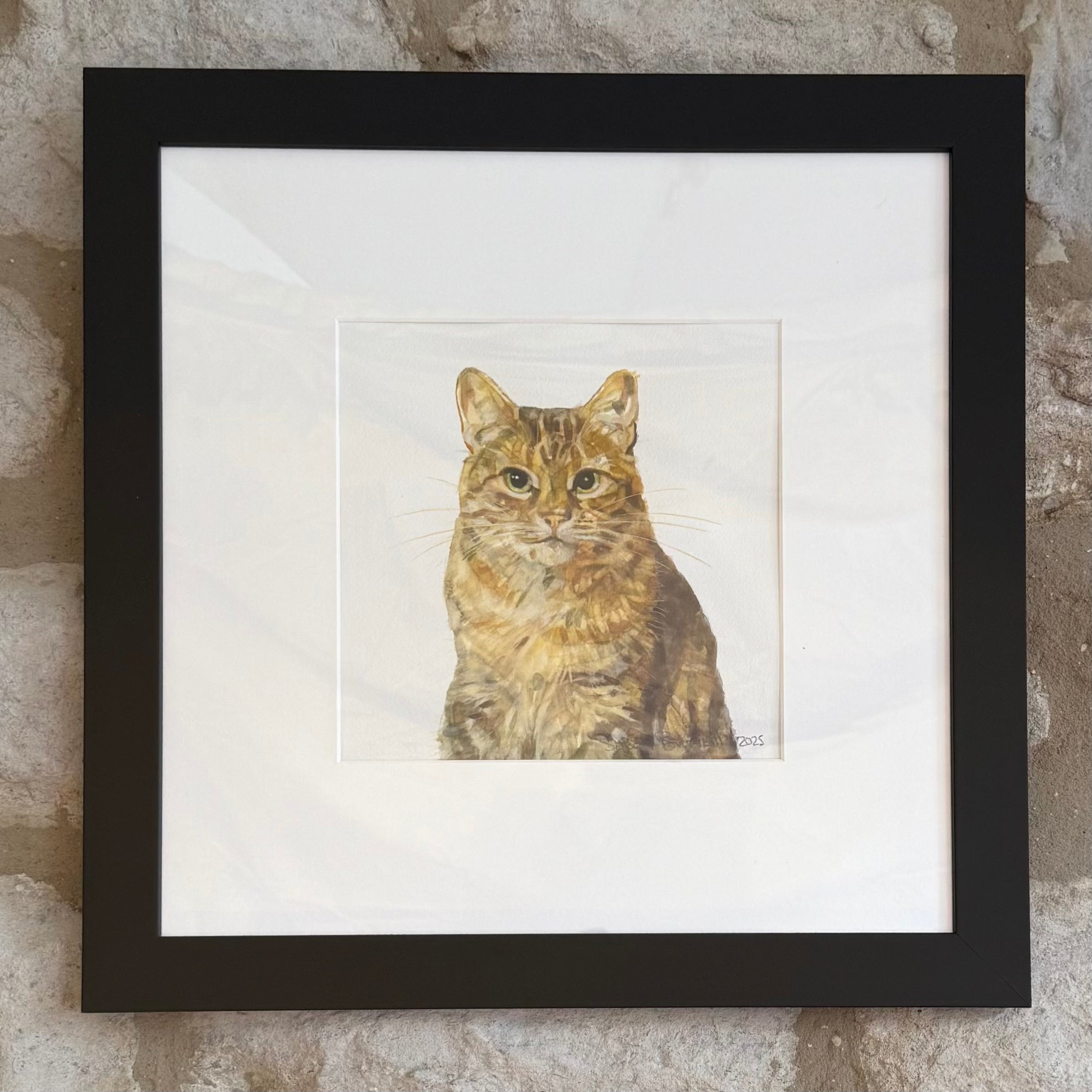 Tabby Cat - Original Watercolour Painting