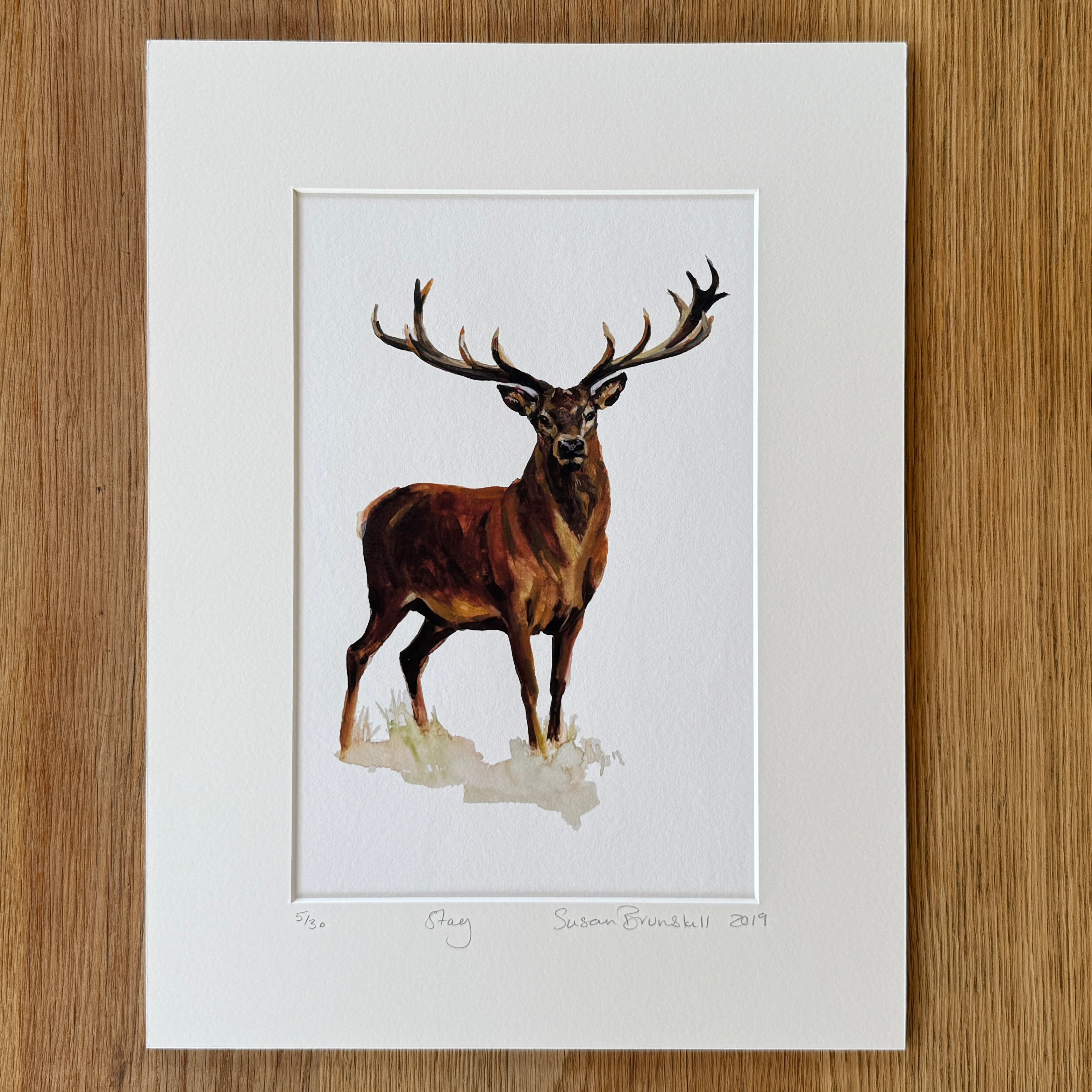 Stag - Giclee Print