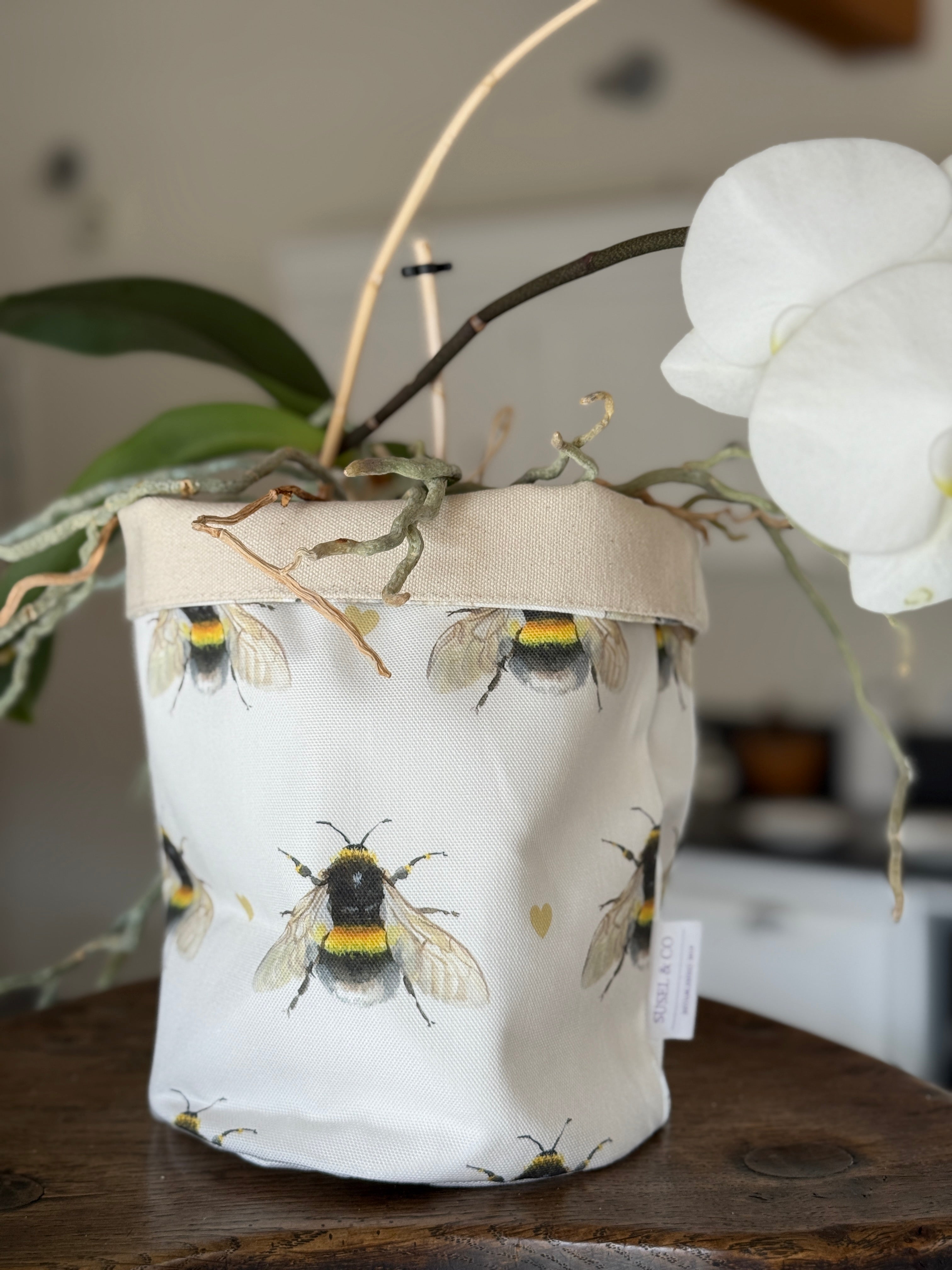 Bumble Bee illustrated desk organiser by Susan Brunskill