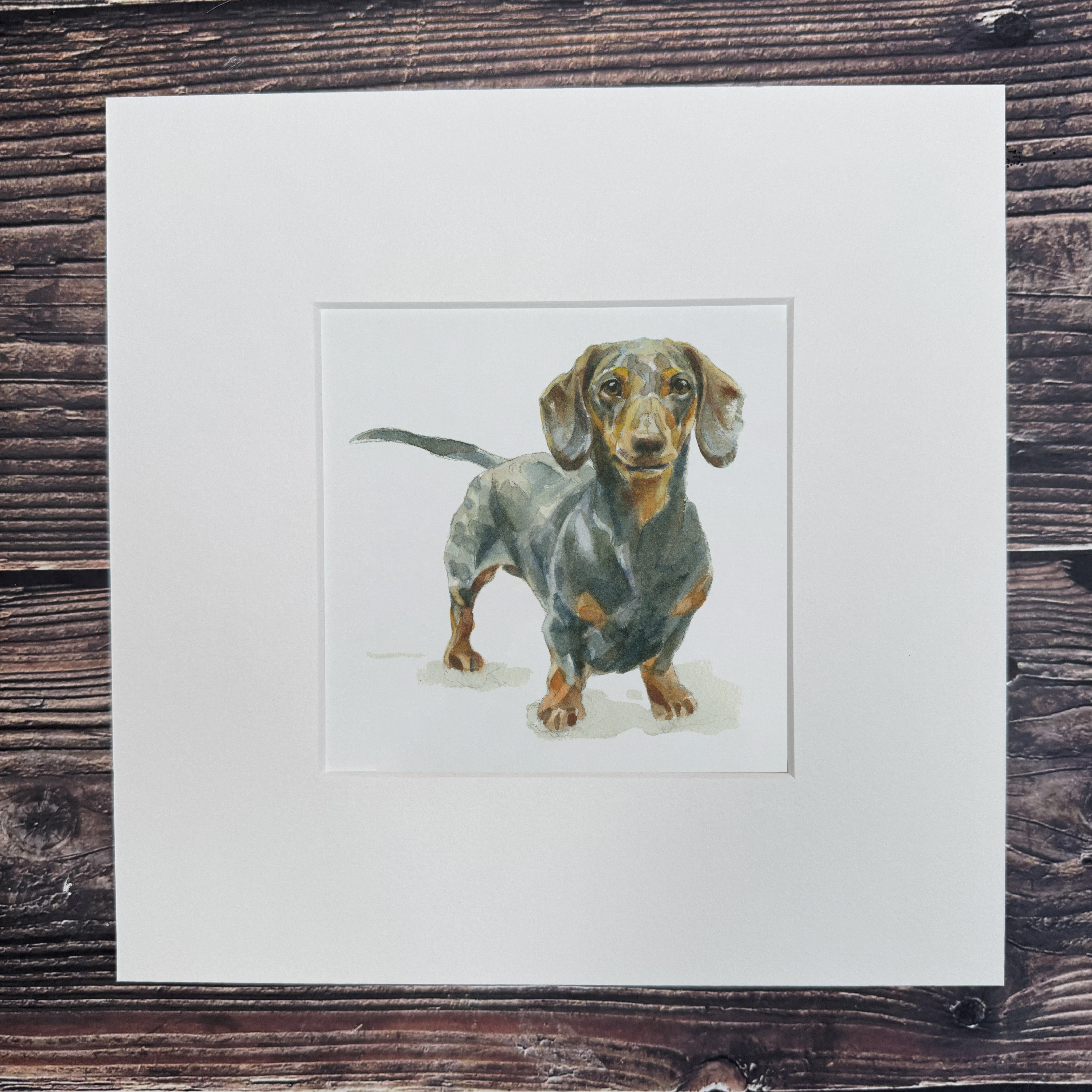Sausage Dog - Square Mini Print