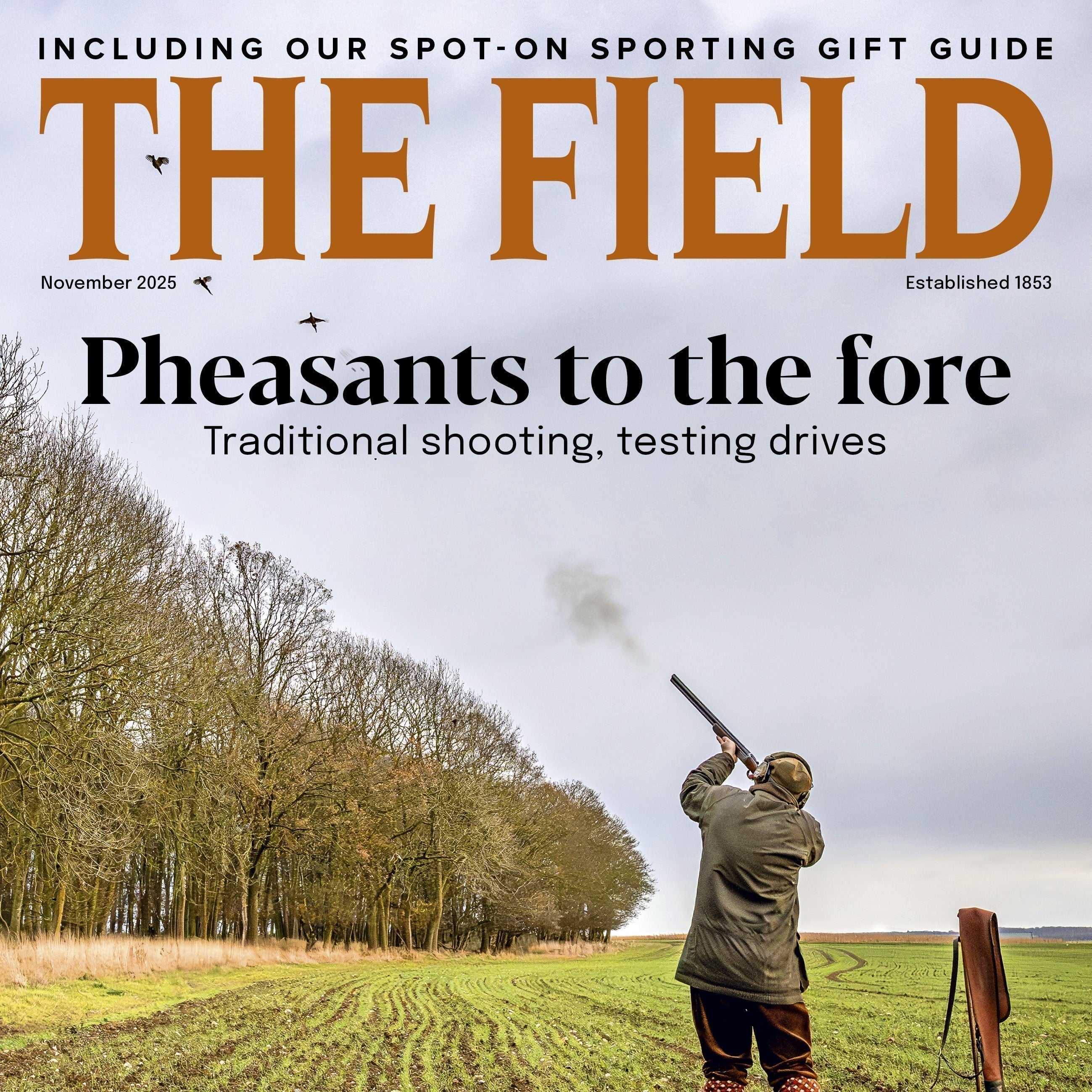 🎣 Susel & Co’s Fishing Flies Writing Set Featured in The Field Magazine’s Christmas Gift Guide