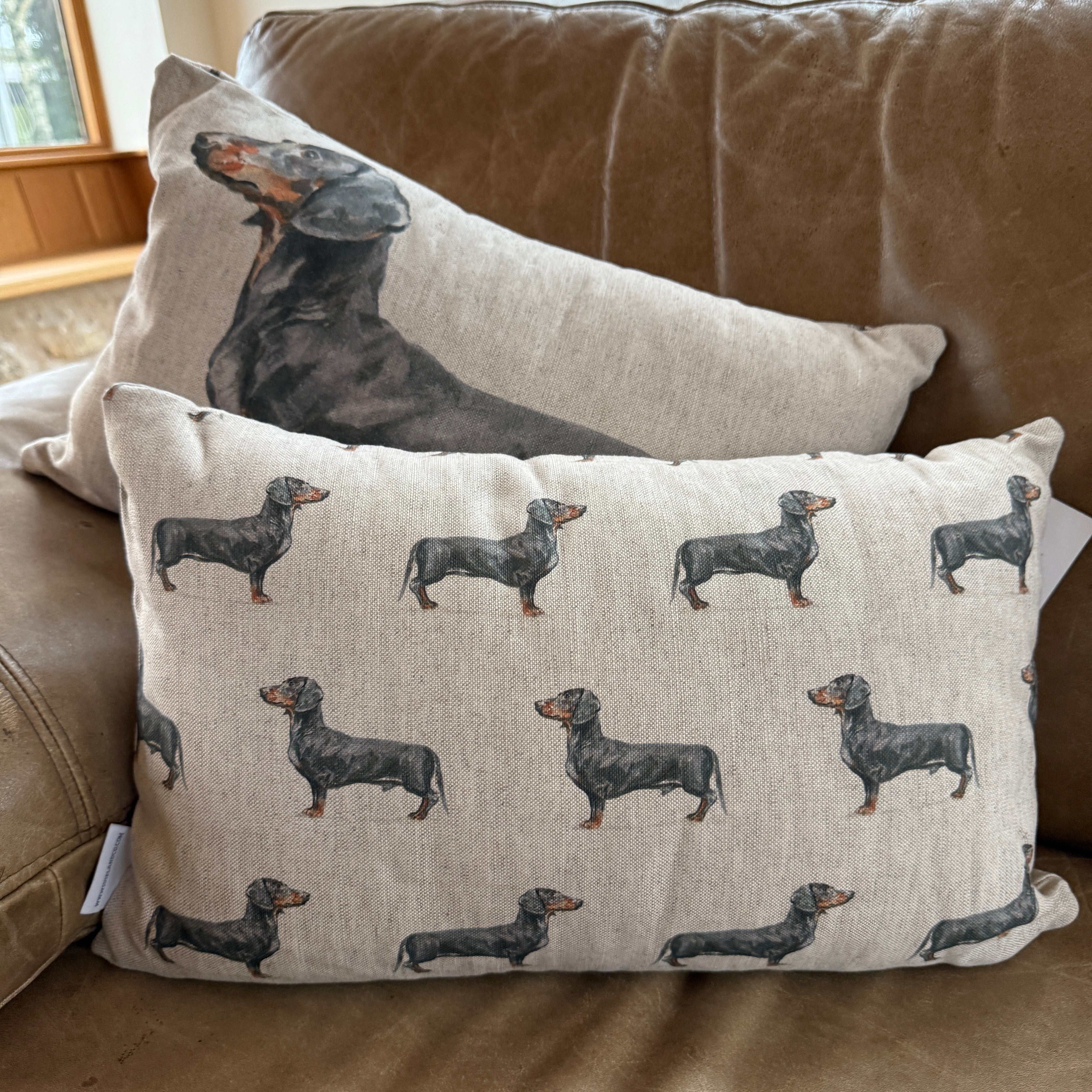 Dachshund - Cushion