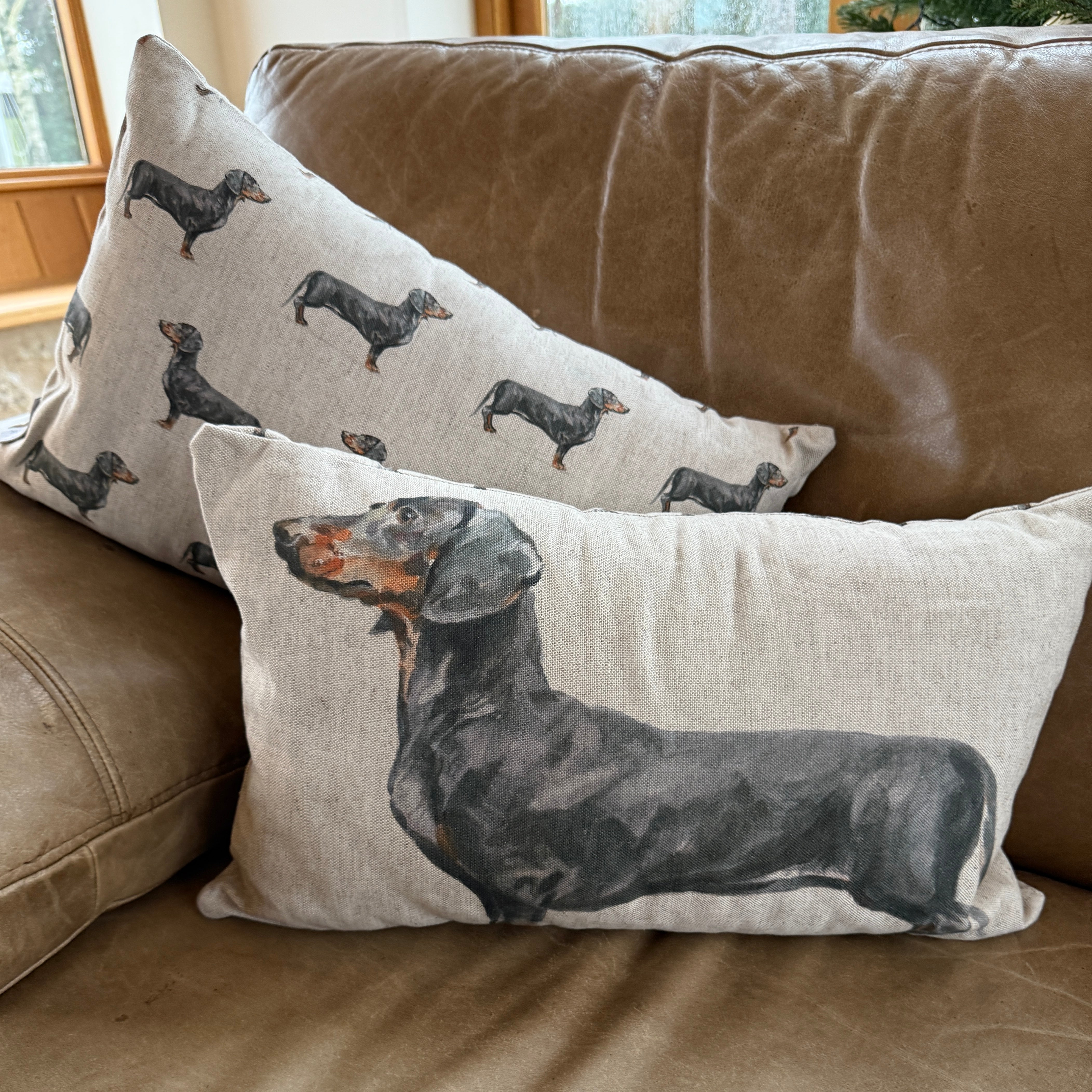 Dachshund - Cushion