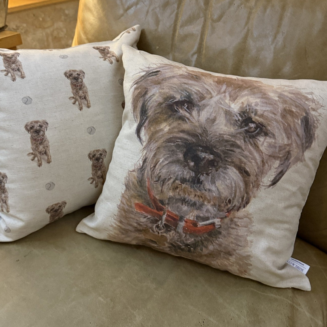 Border Terrier - Cushion
