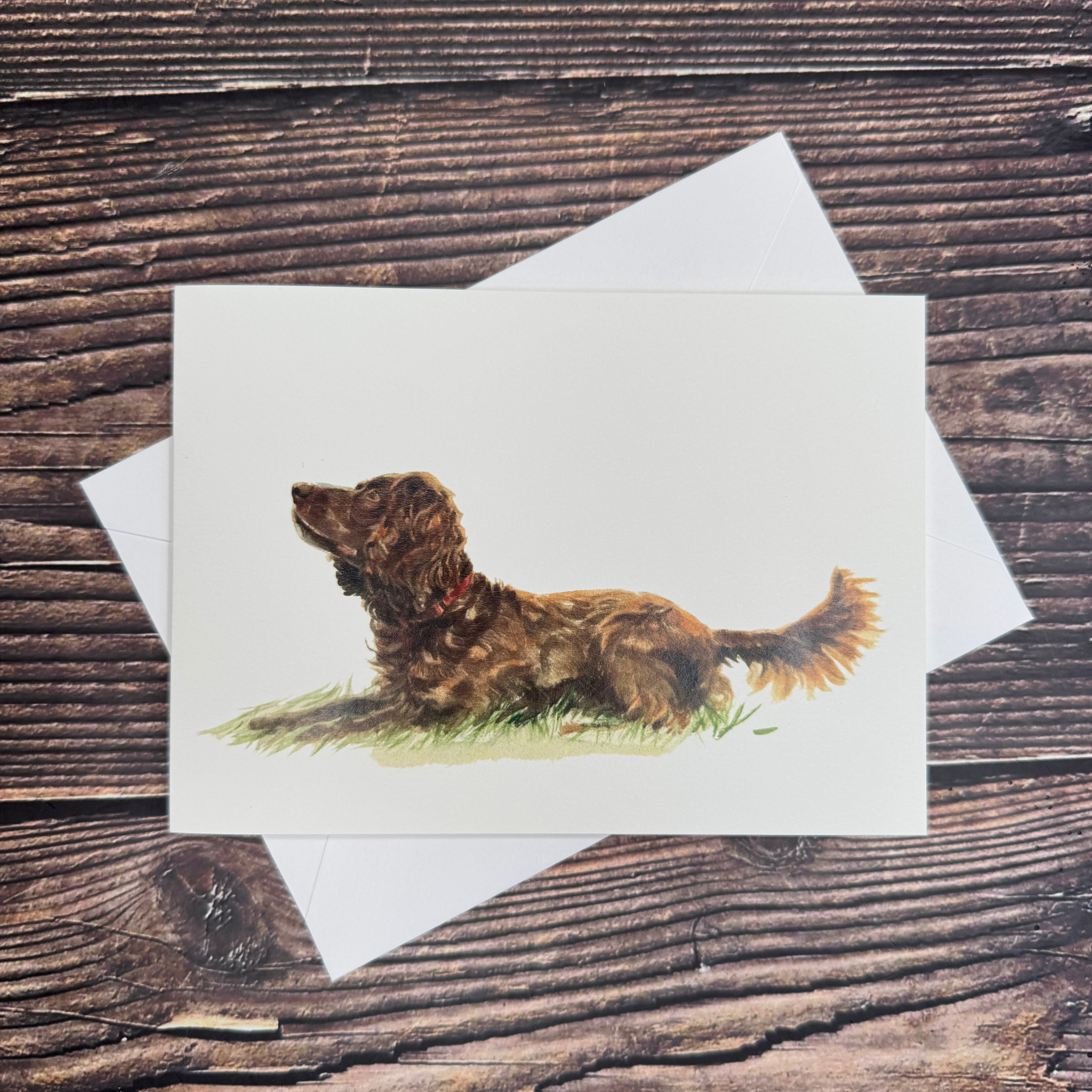 Chocolate Cocker Spaniel - A6 Greetings Card
