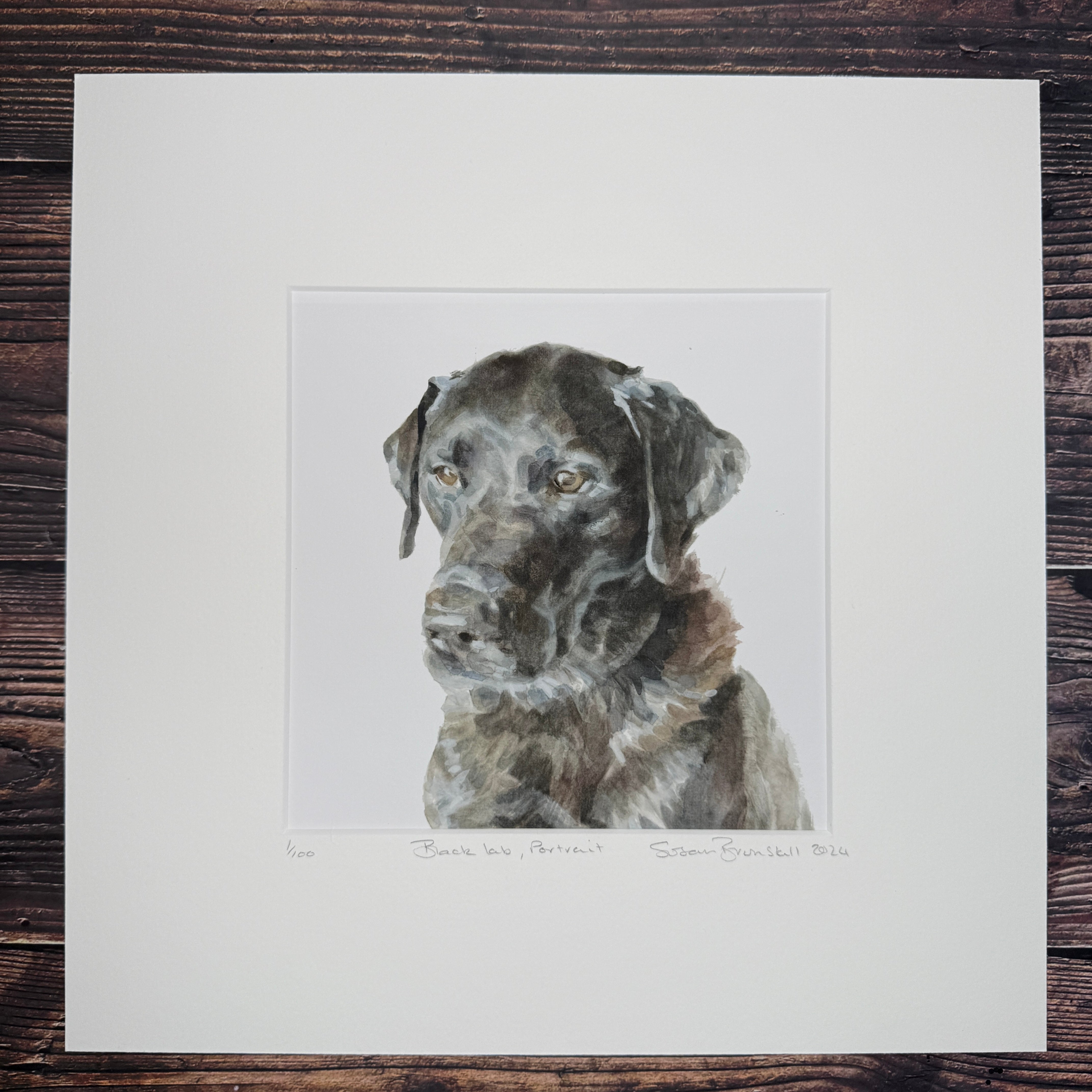 Black Lab Portrait - Giclee Print