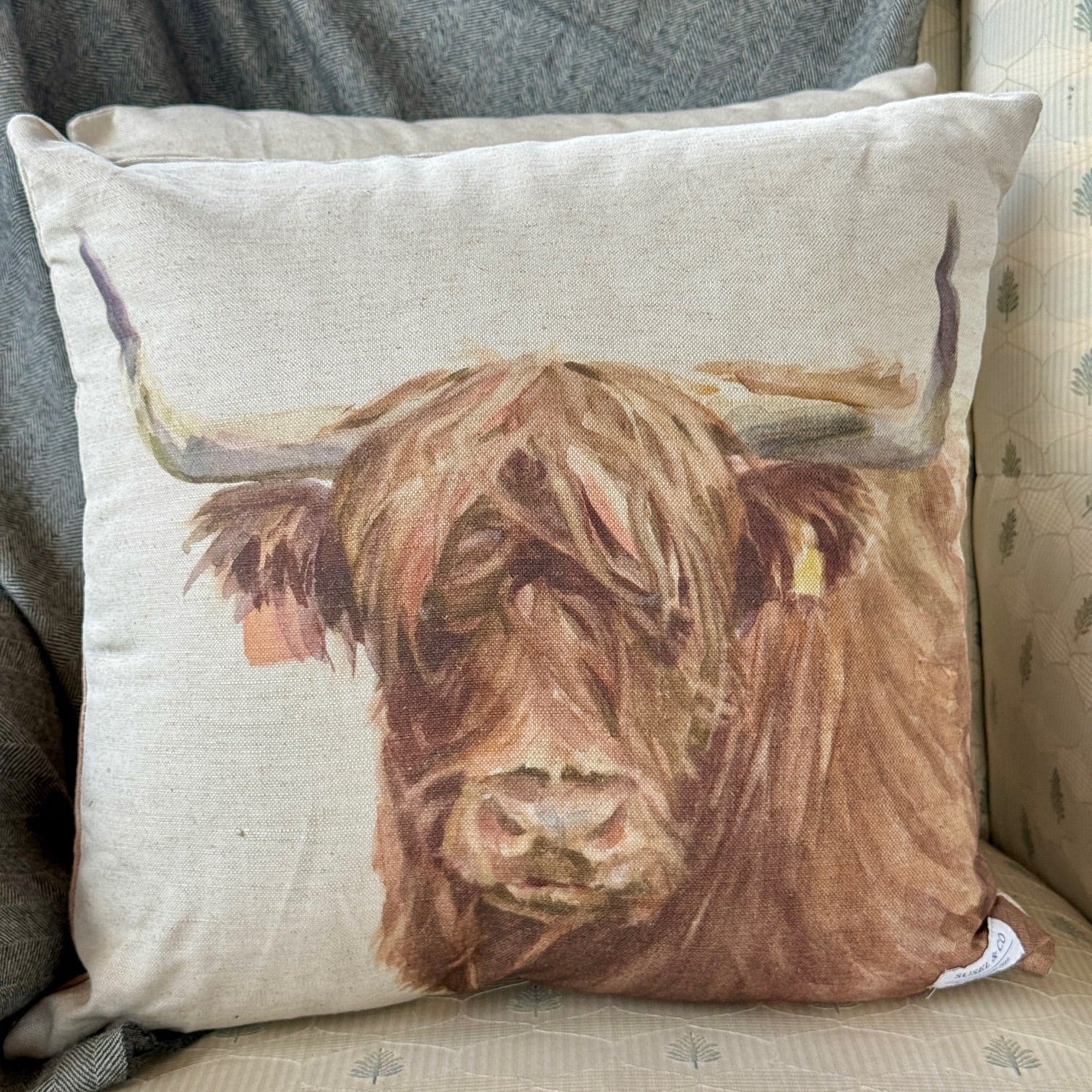 Highland Cow - Cushion