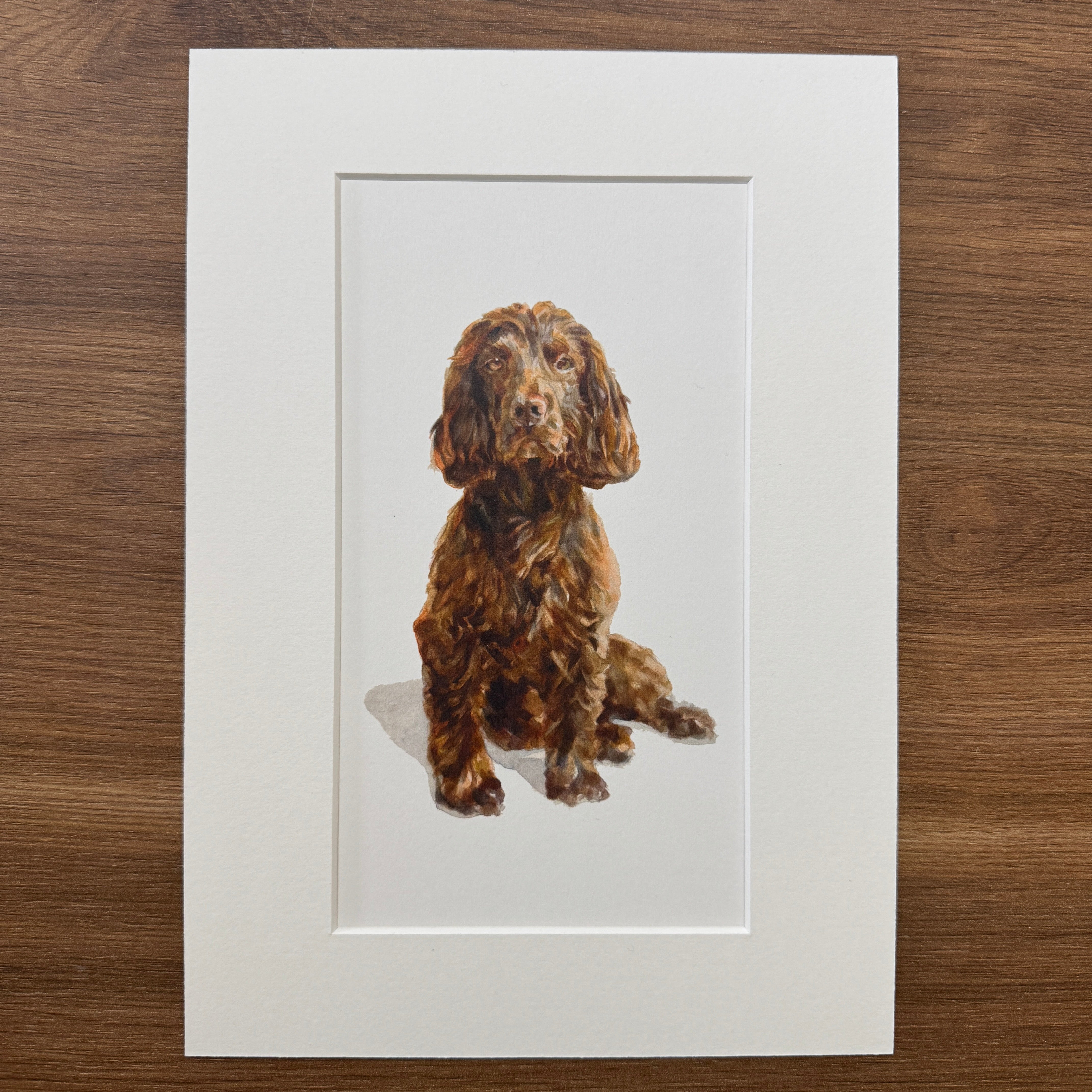Liver Cocker Spaniel - Long Mini Print