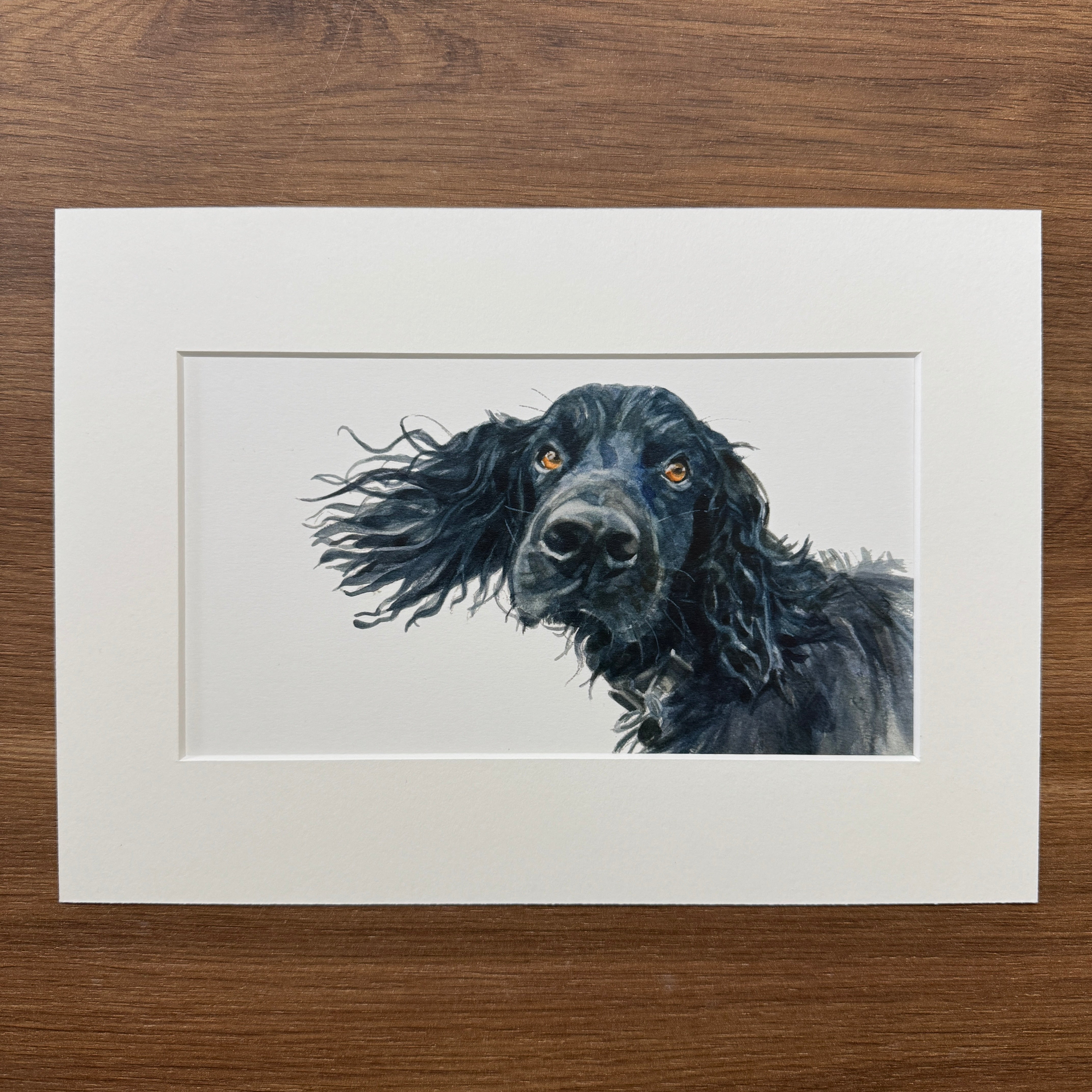Black Cocker Spaniel - Long Mini Print