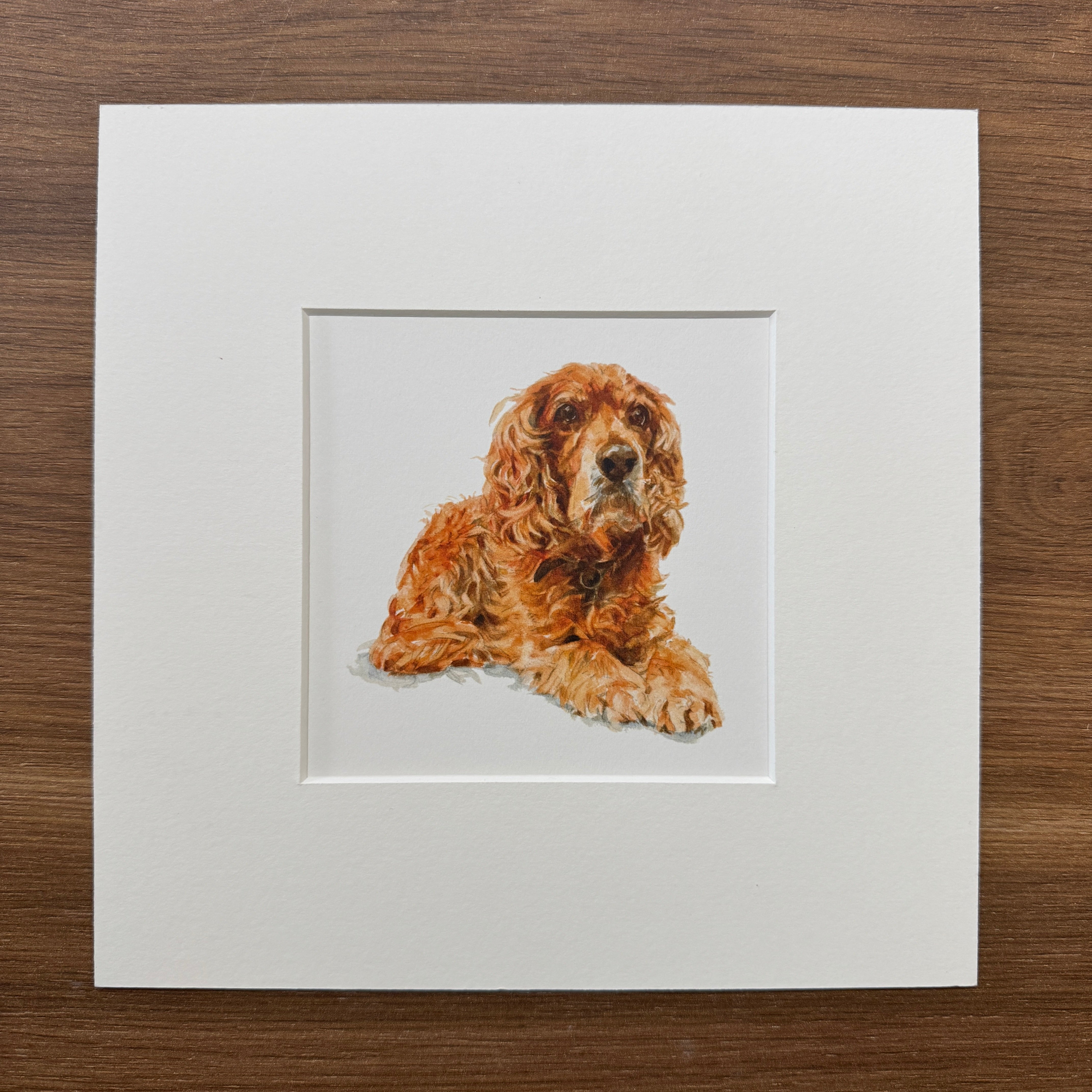 Golden Cocker Spaniel - Square Mini Print