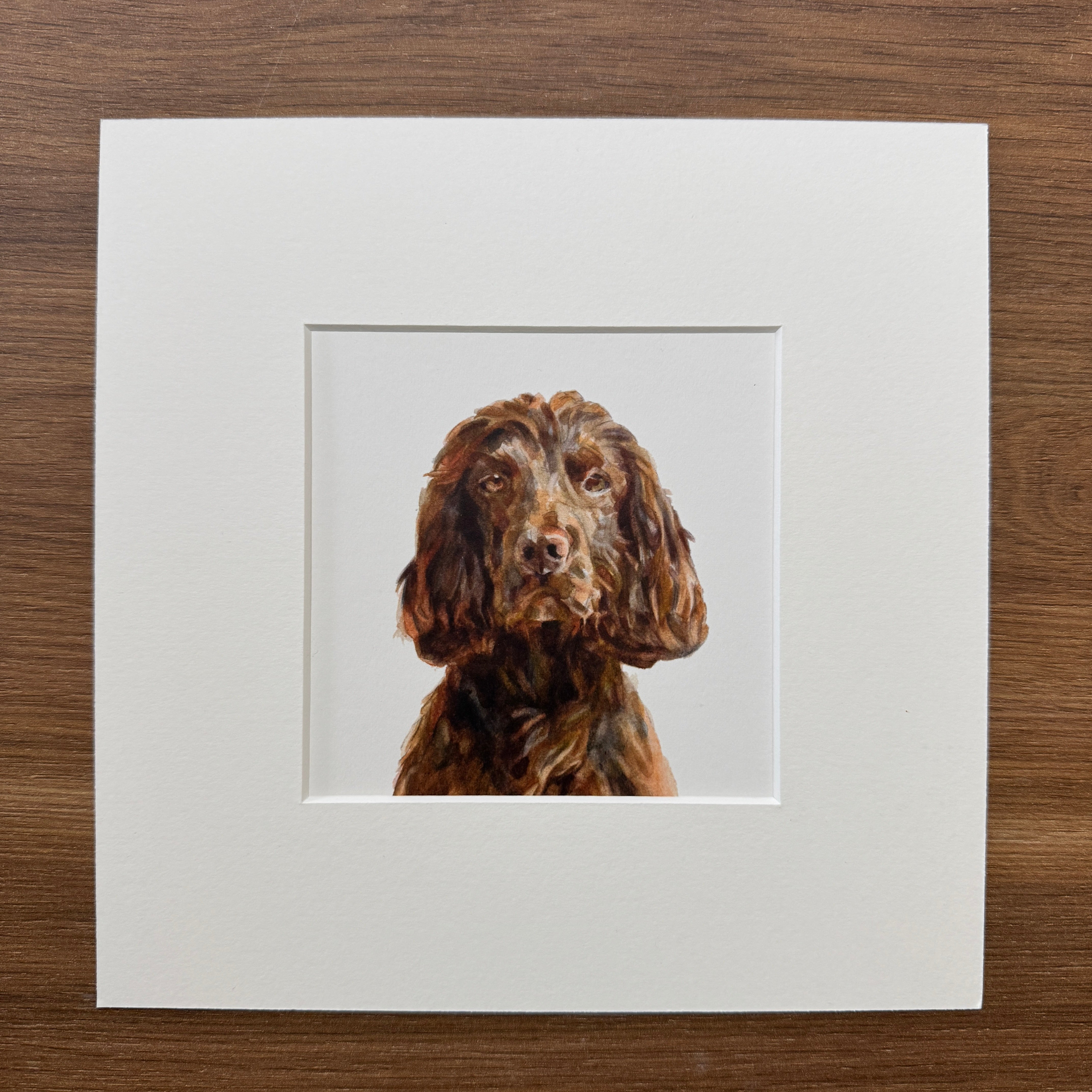 Liver Cocker Spaniel - Square Mini Print