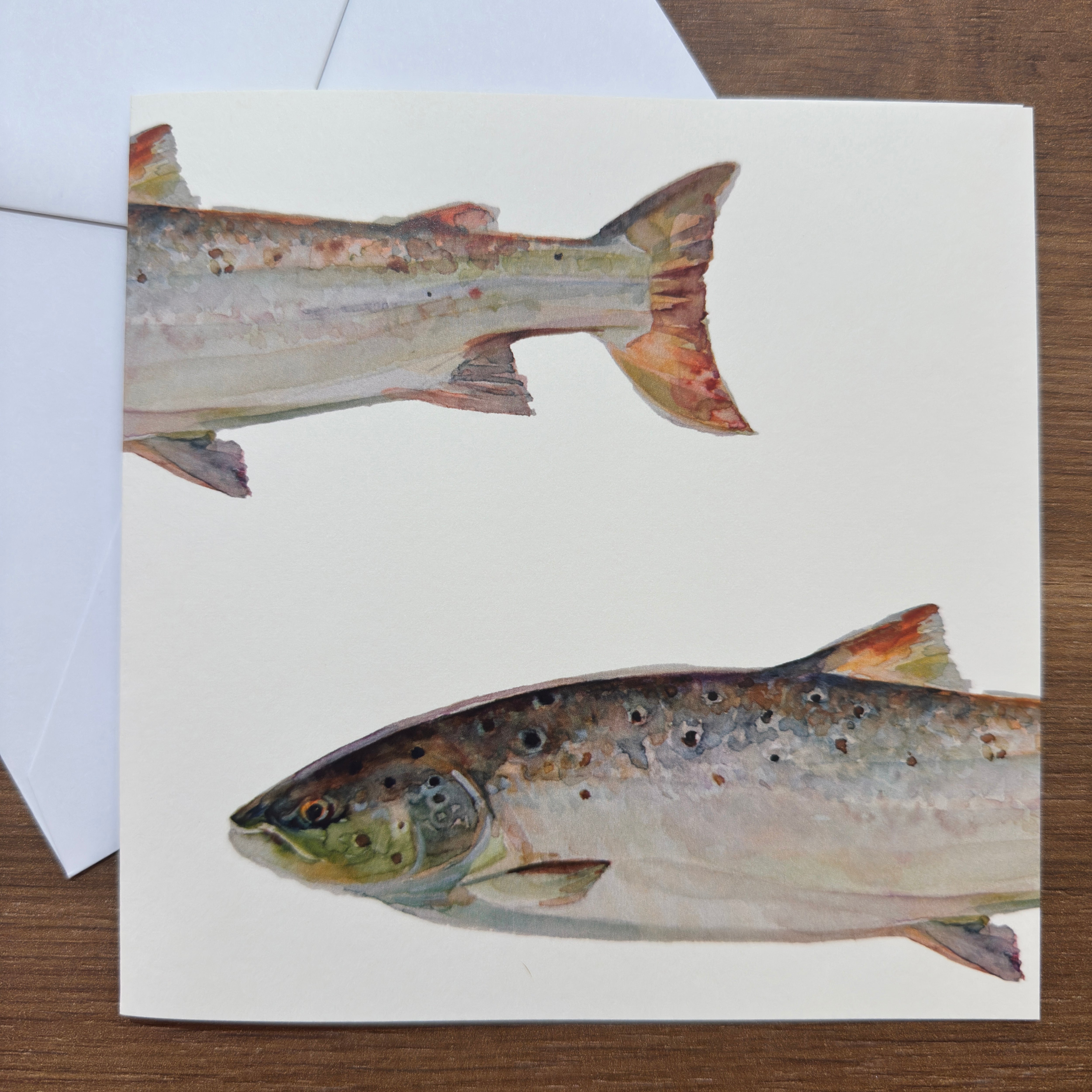 Atlantic Salmon - Square Card