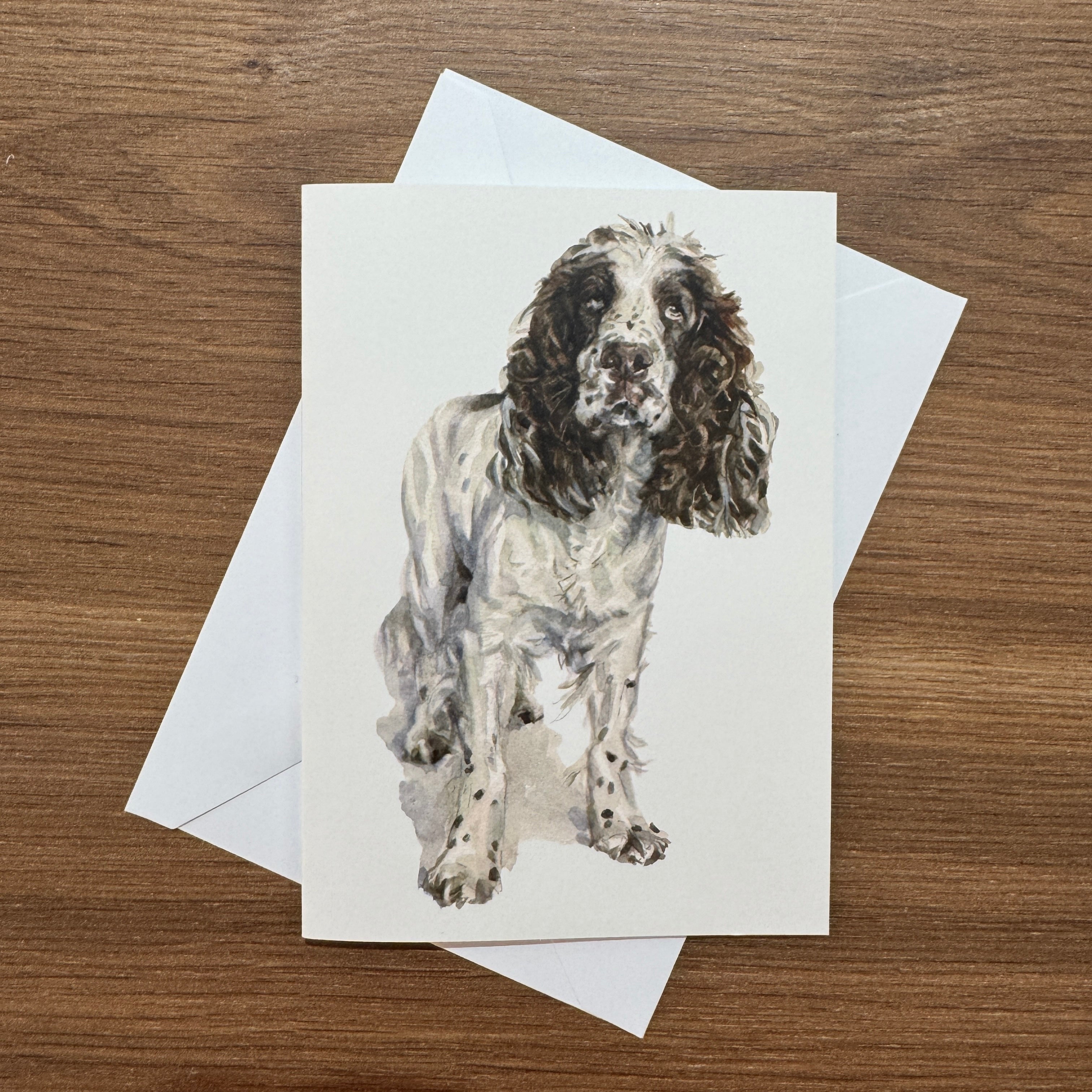 Springer Spaniel - A6 Greetings Card