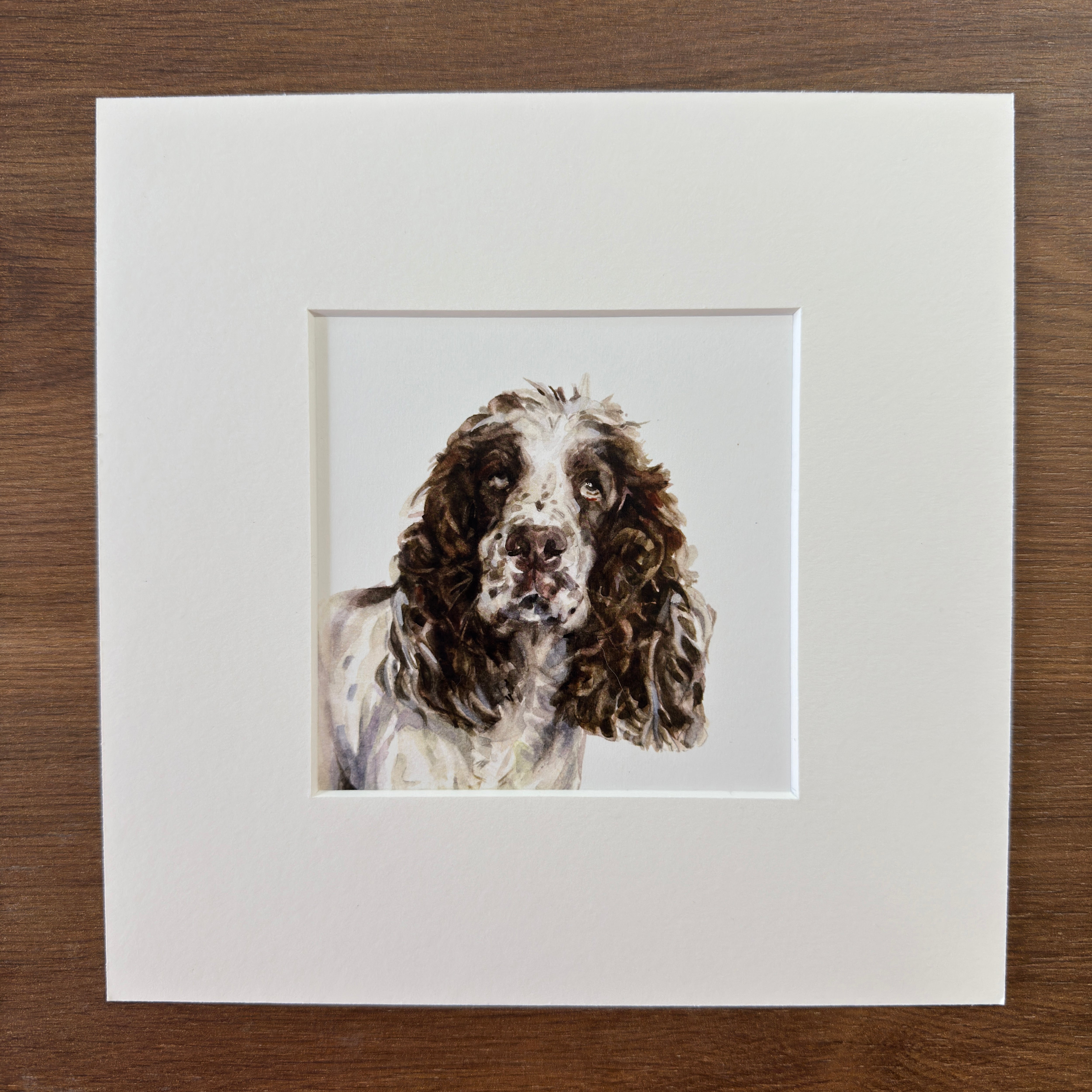 Springer Spaniel - Square Mini Print