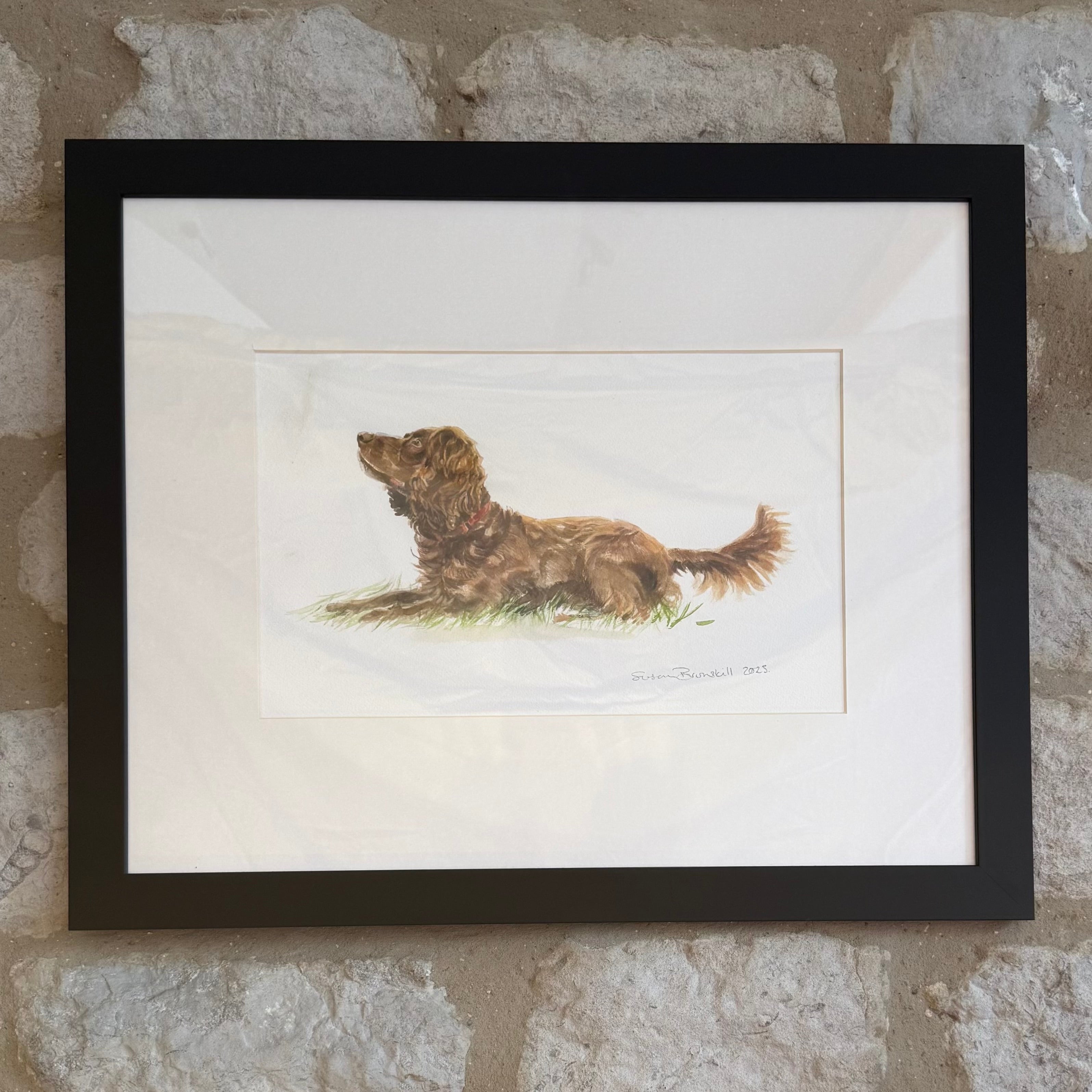 Chocolate Cocker Spaniel - Original Watercolour Painting