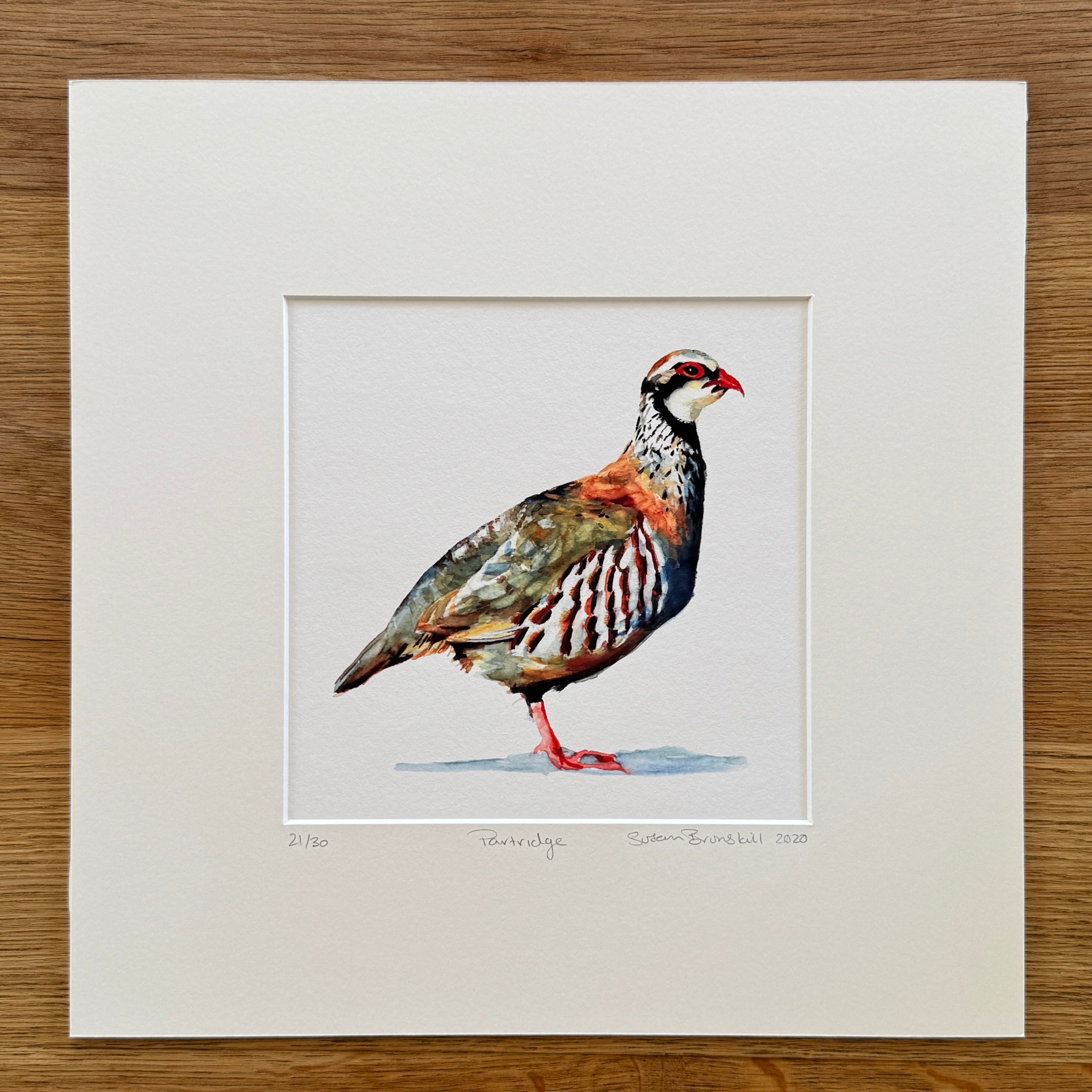 Partridge - Giclee Print