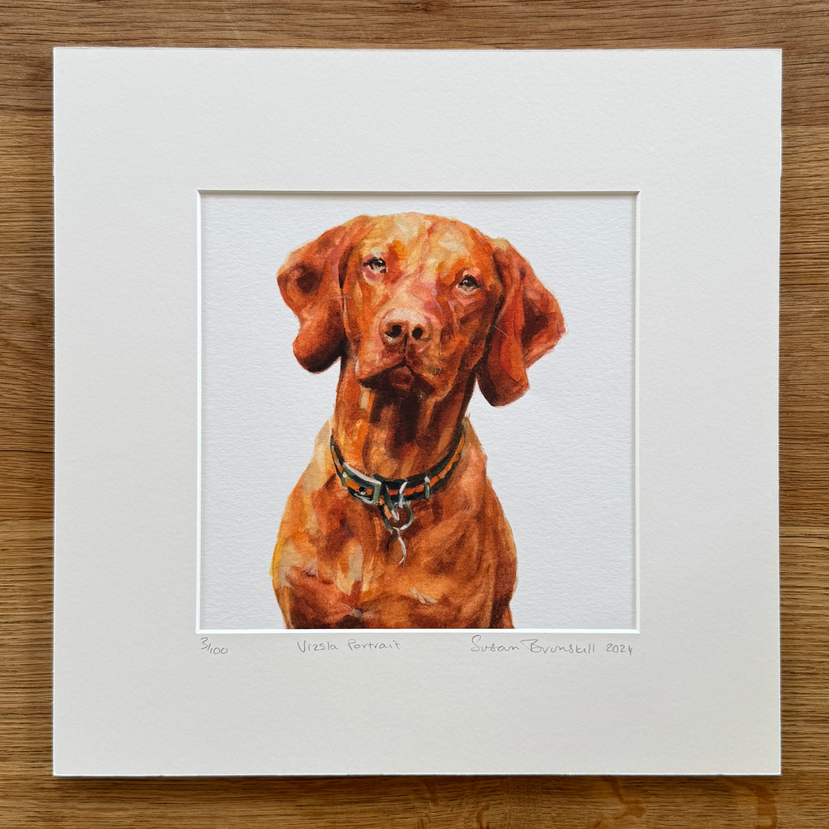 Vizsla Portrait - Giclee Print