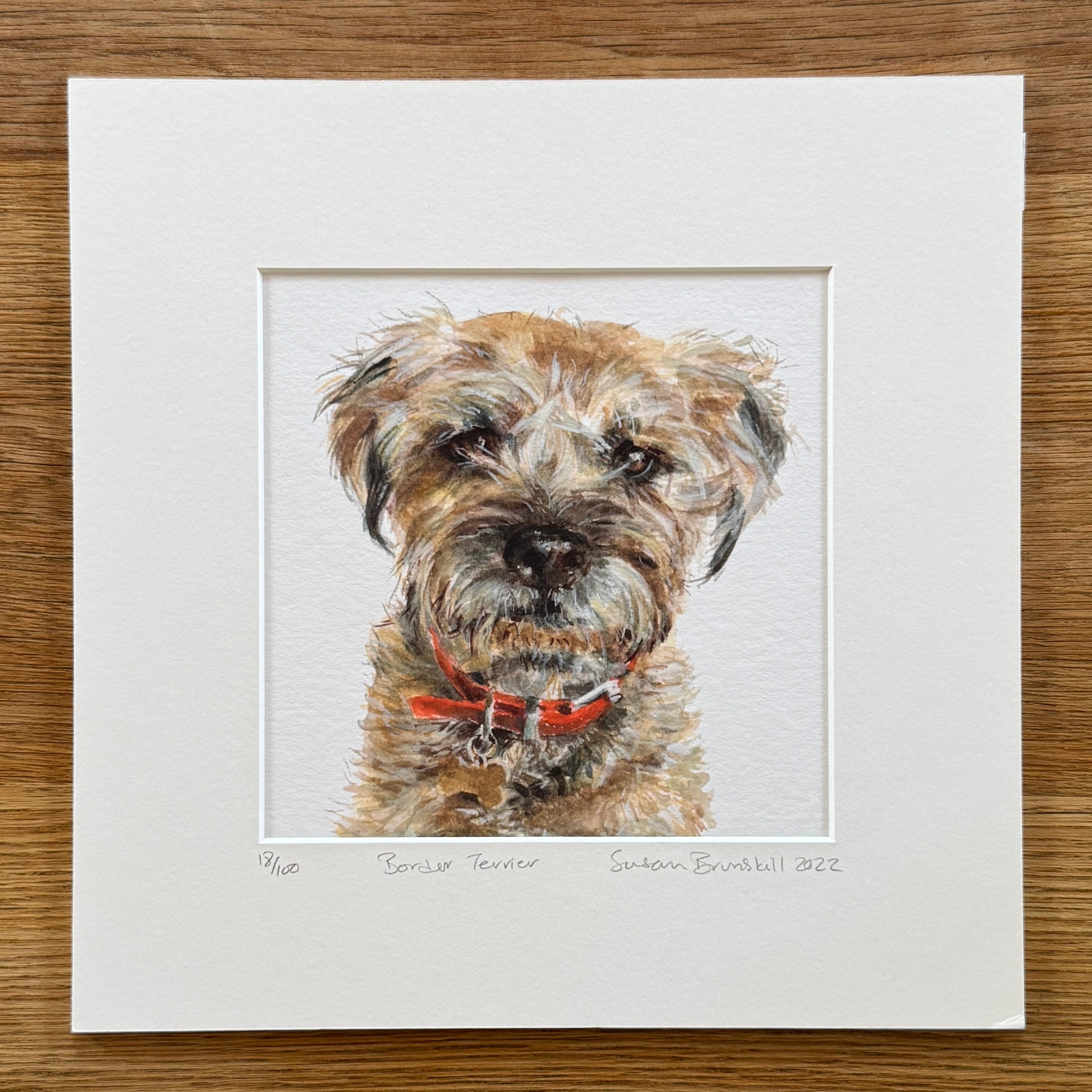 Border Terrier - Giclee Print
