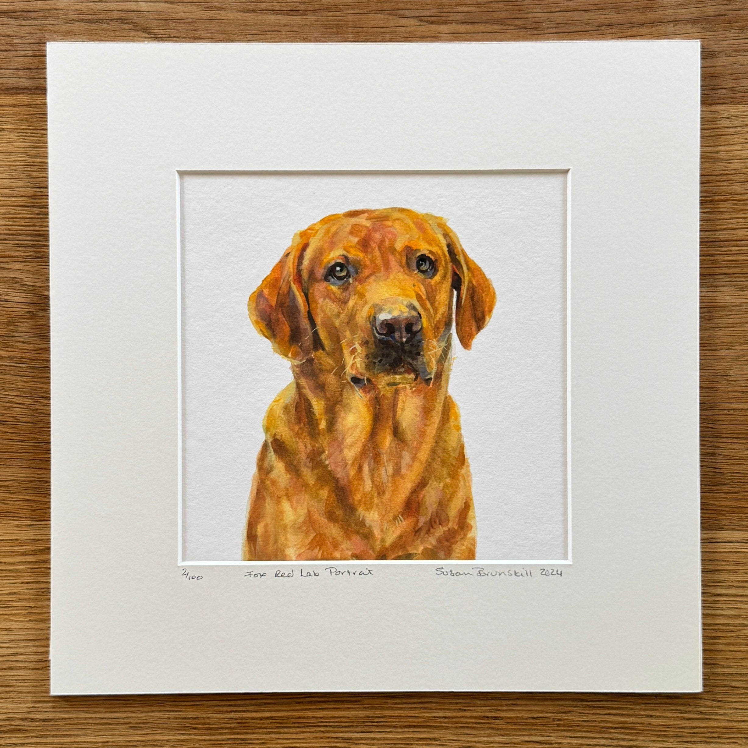 Fox Red Lab Portrait - Giclee Print