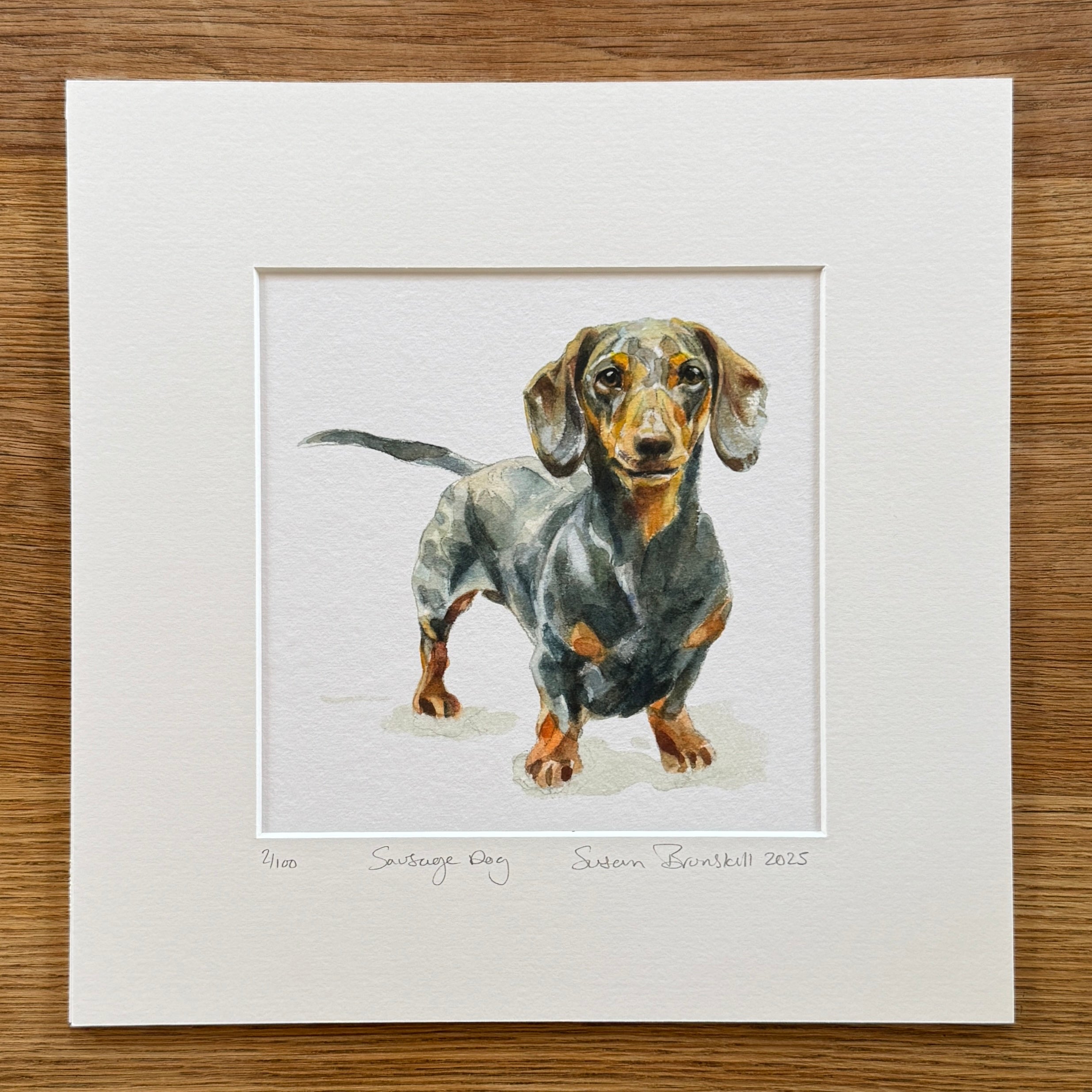 Sausage Dog - Giclee Print
