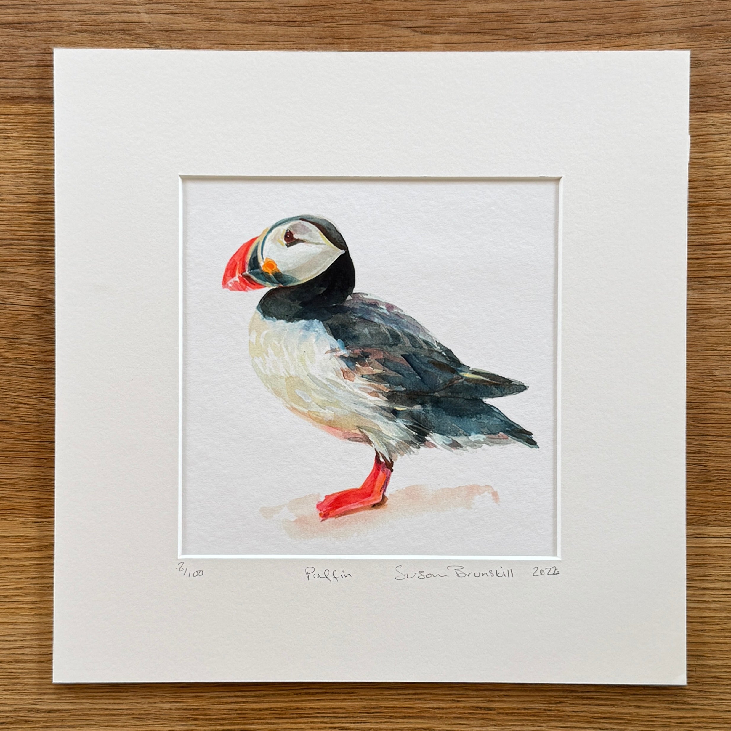 Puffin - Giclee Print