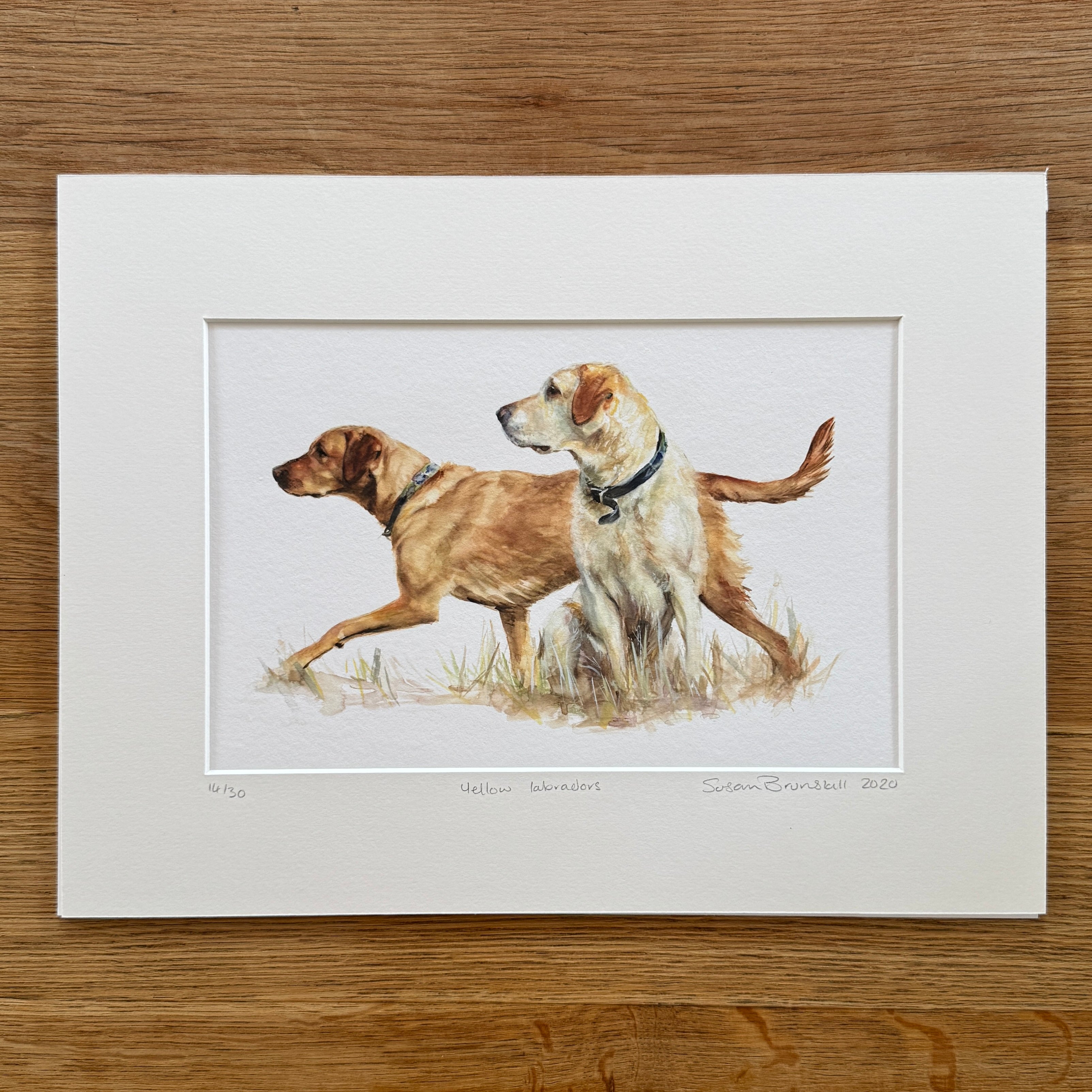 Yellow Labs - Giclee Print