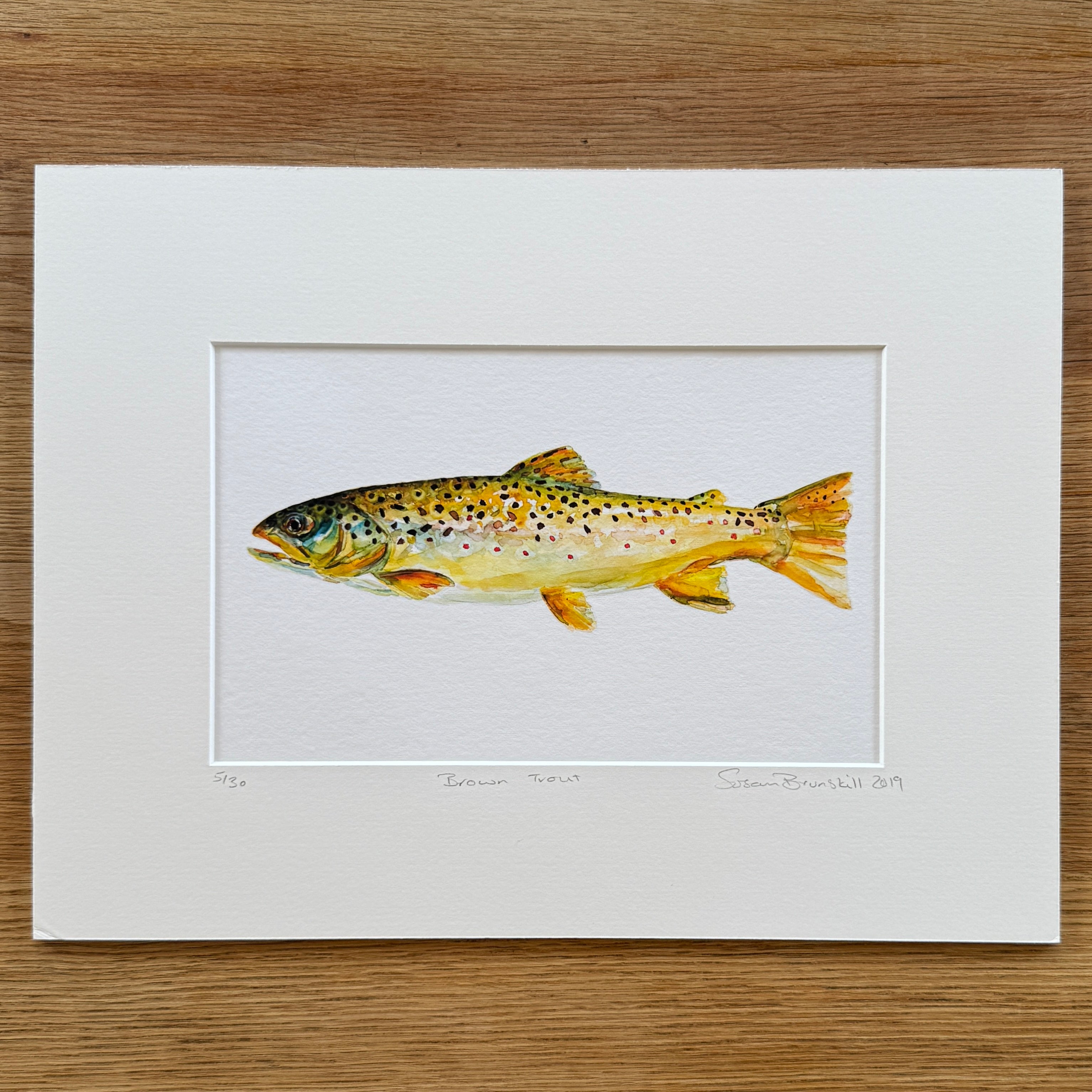 Brown Trout - Giclee Print