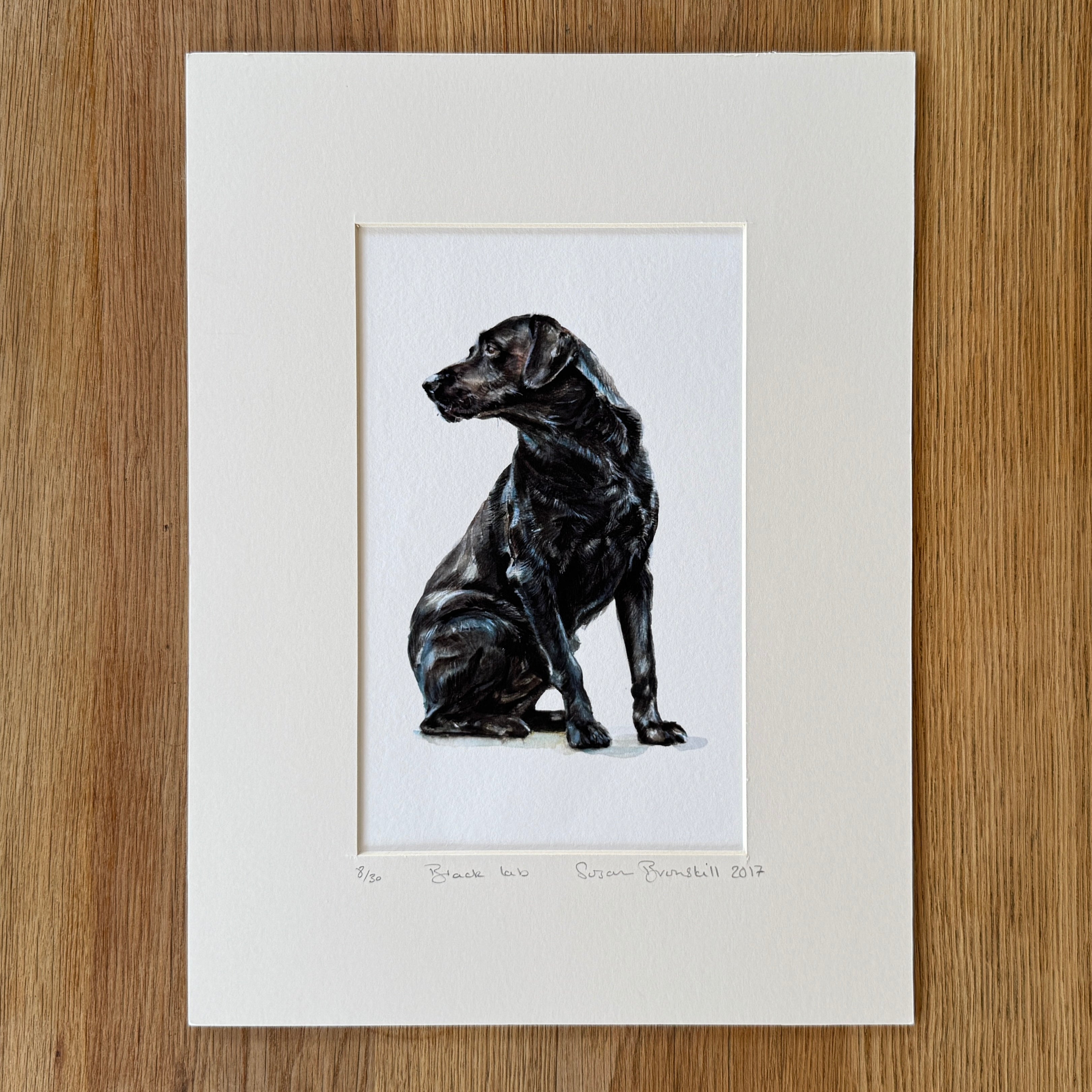 Black Lab - Giclee Print