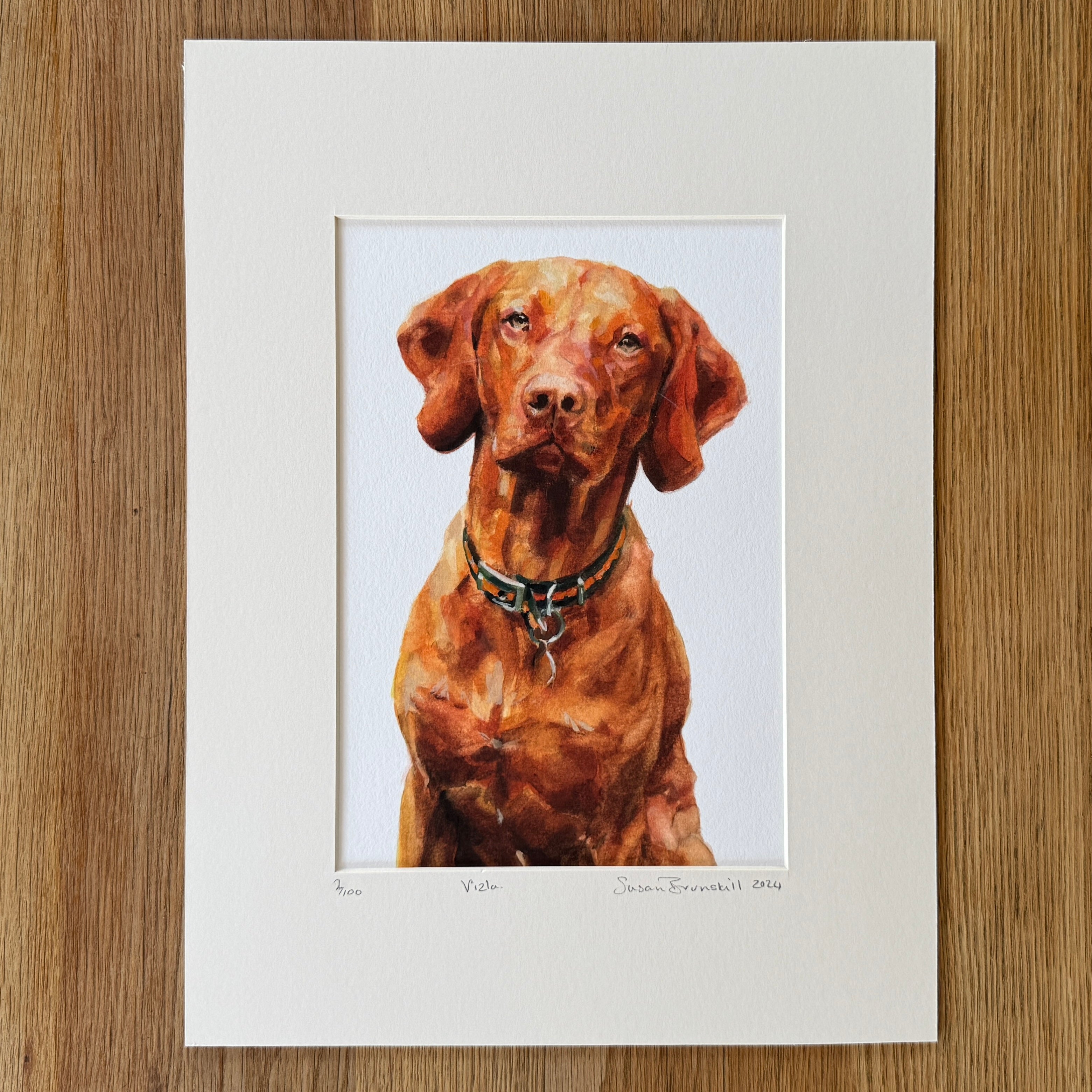 Vizsla - Giclee Print