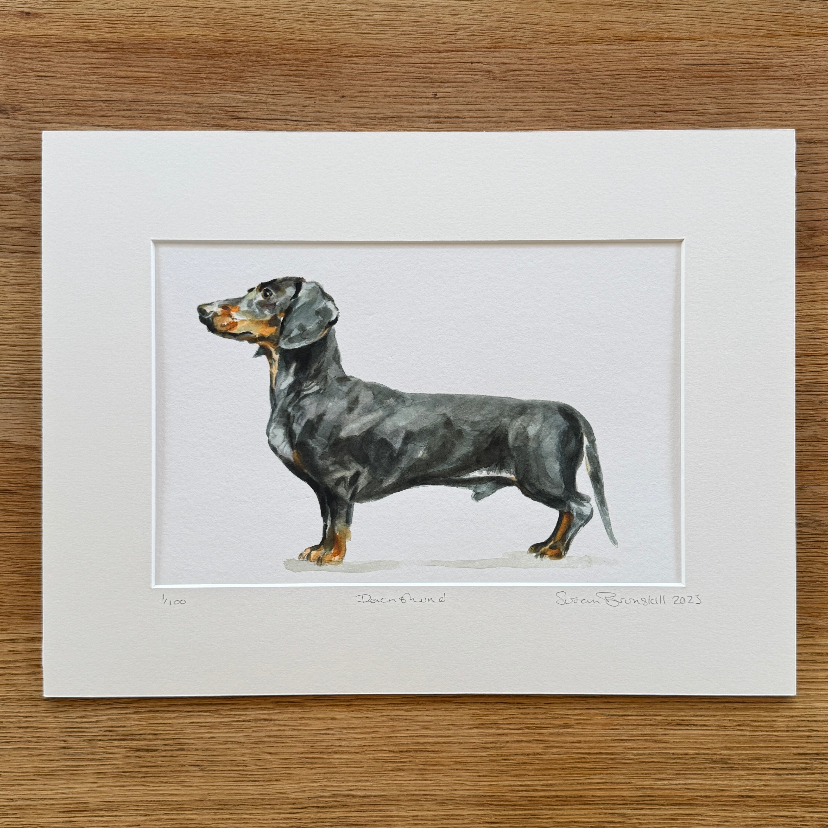 Dachshund - Giclee Print