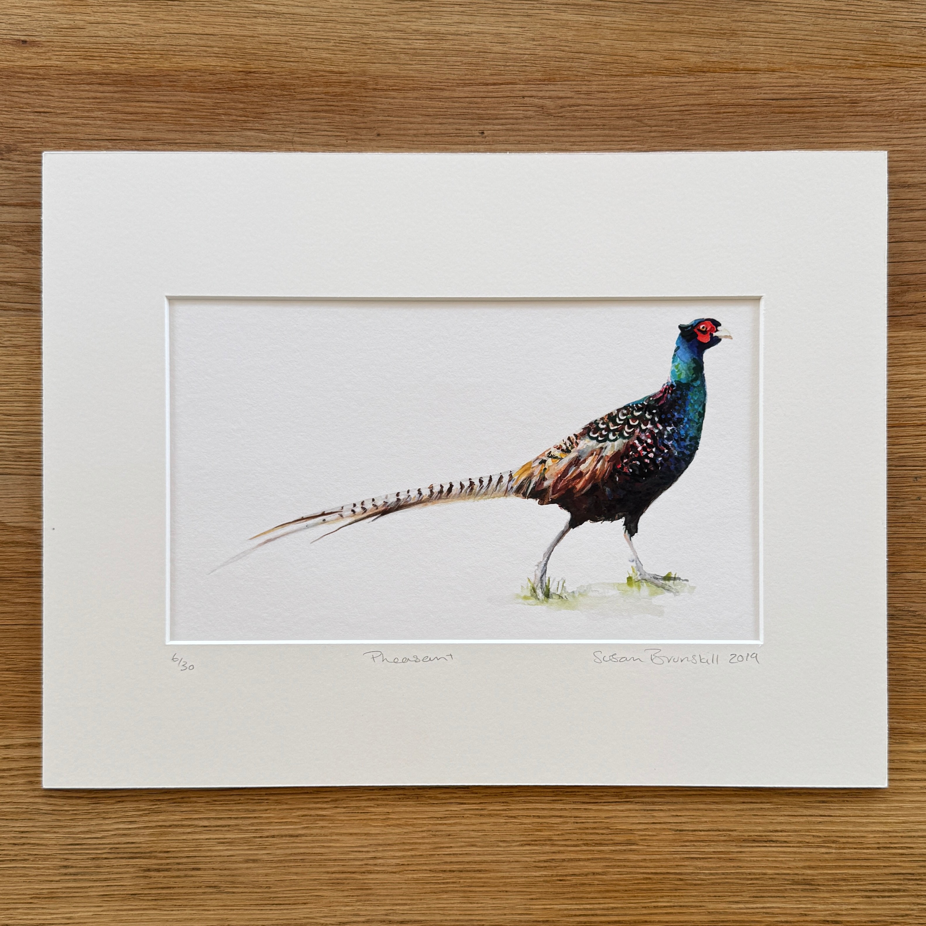 Pheasant - Giclee Print