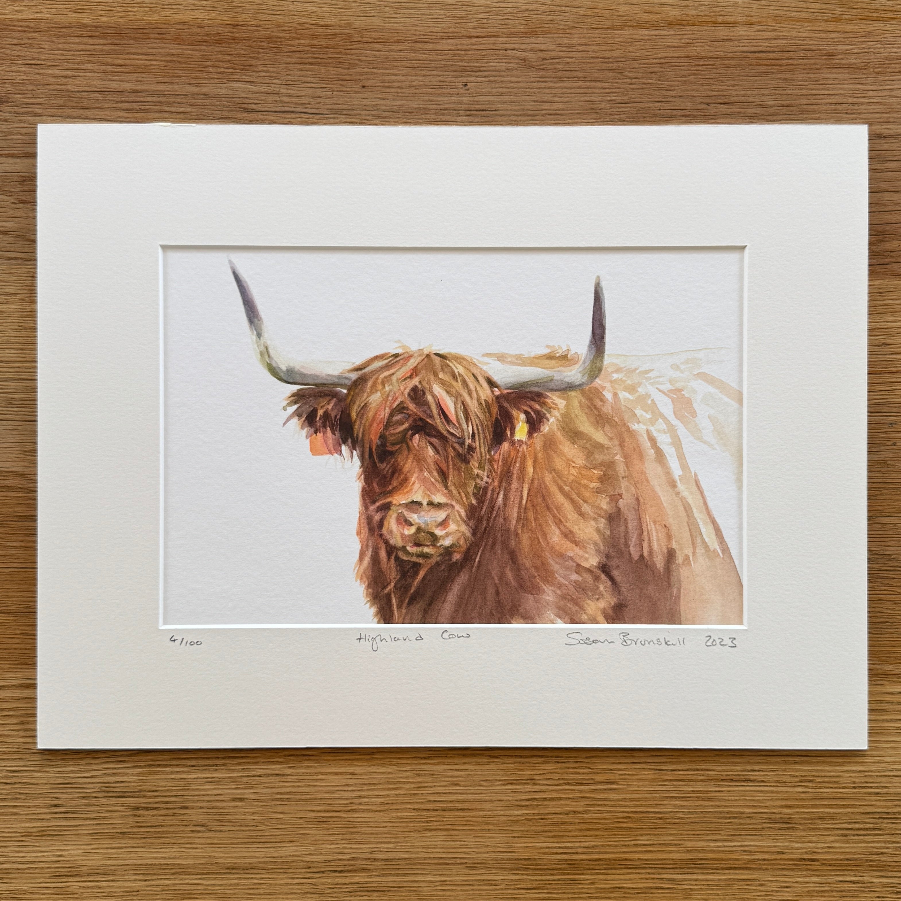 Highland Cow - Giclee Print