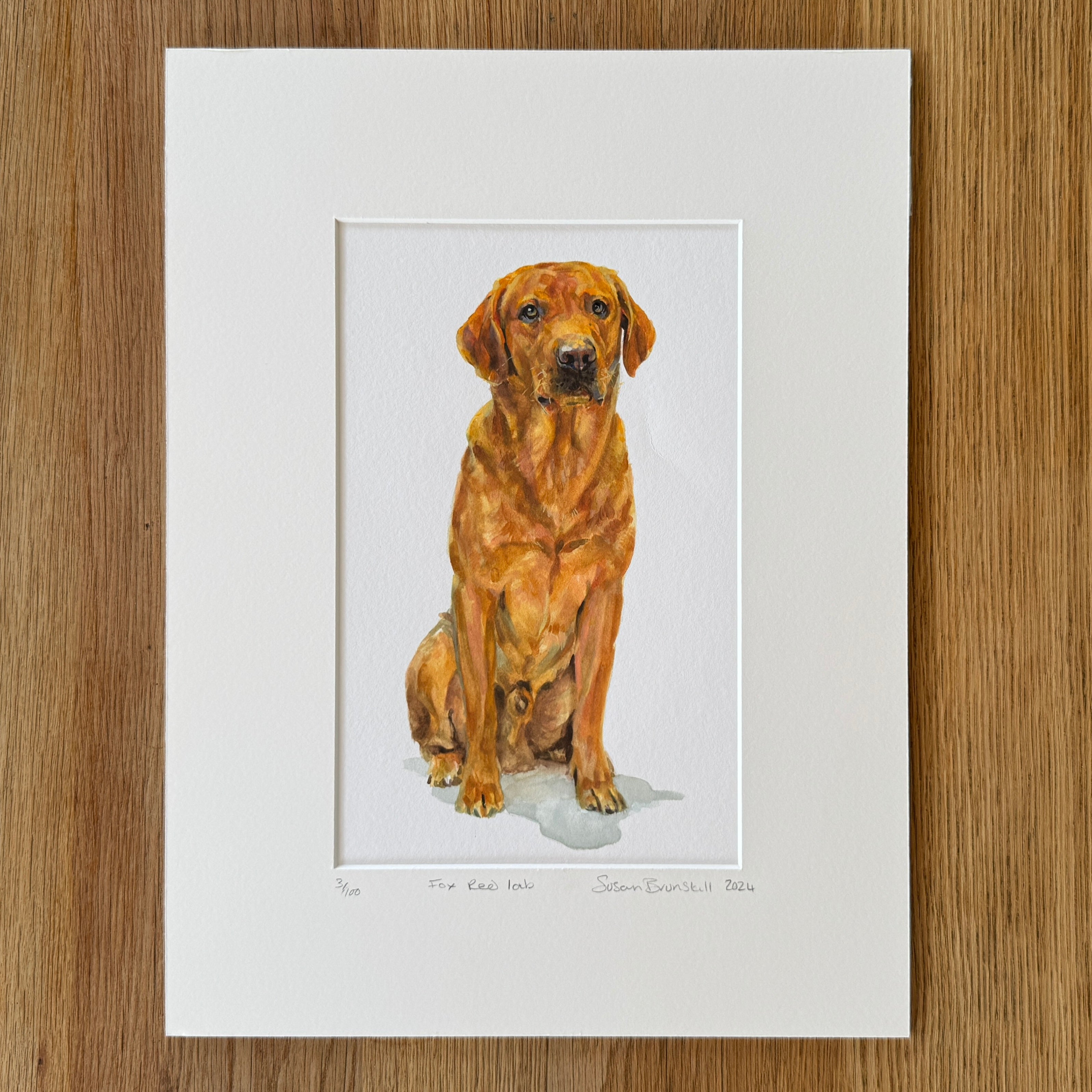 Fox Red Lab - Giclee Print