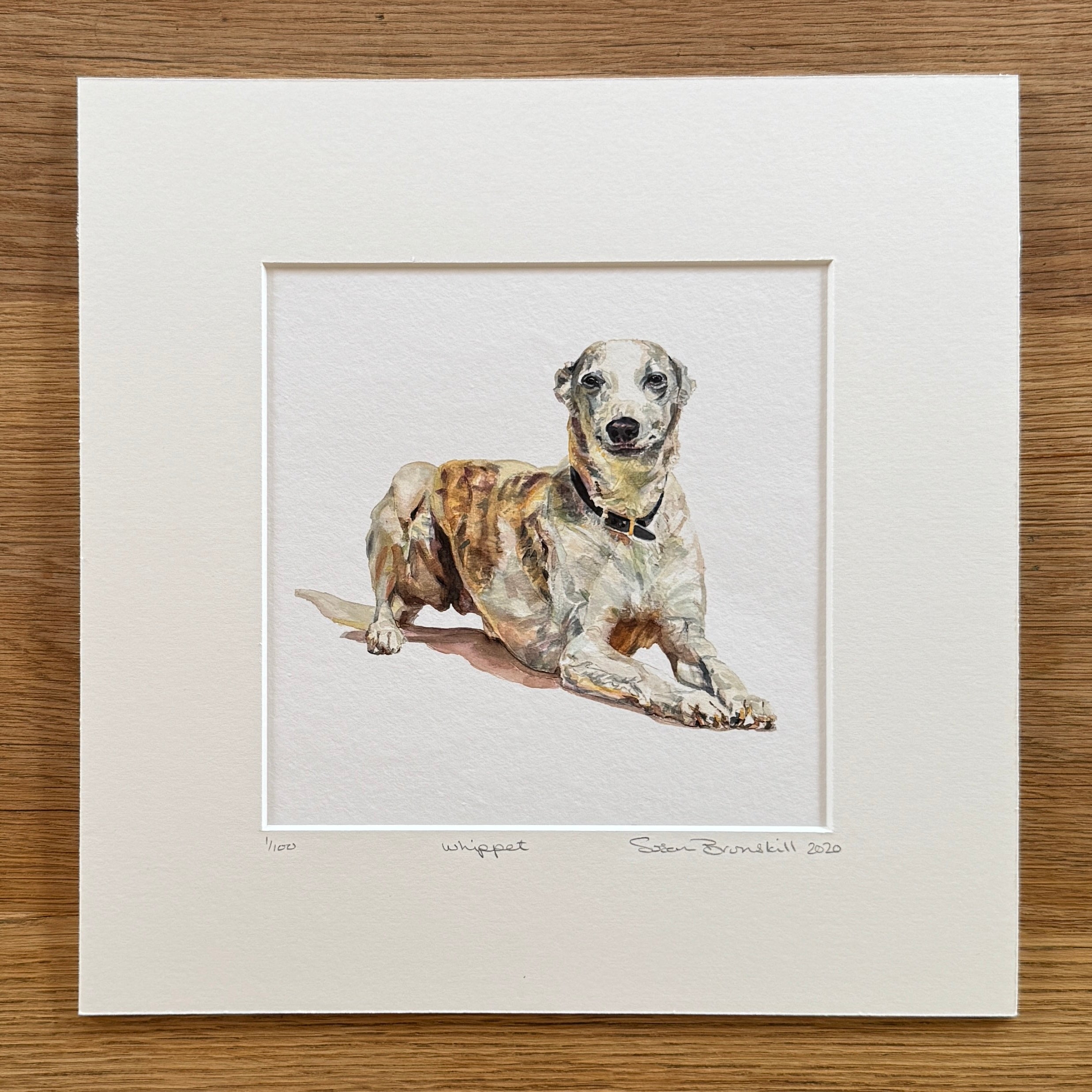 Whippet - Giclee Print