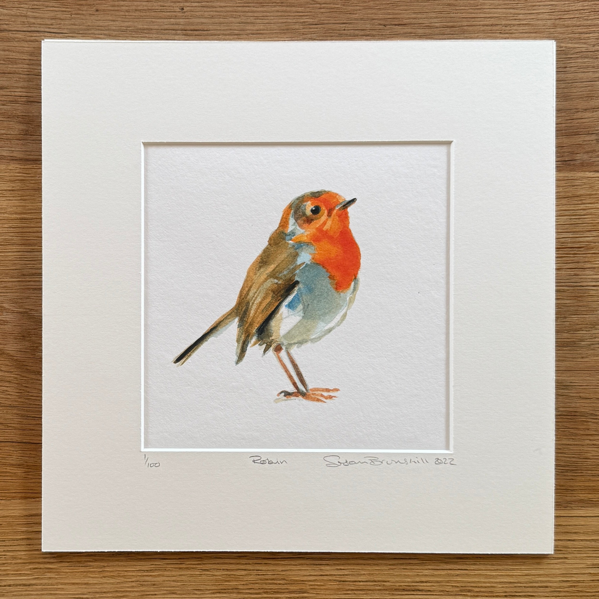 Robin - Giclee Print