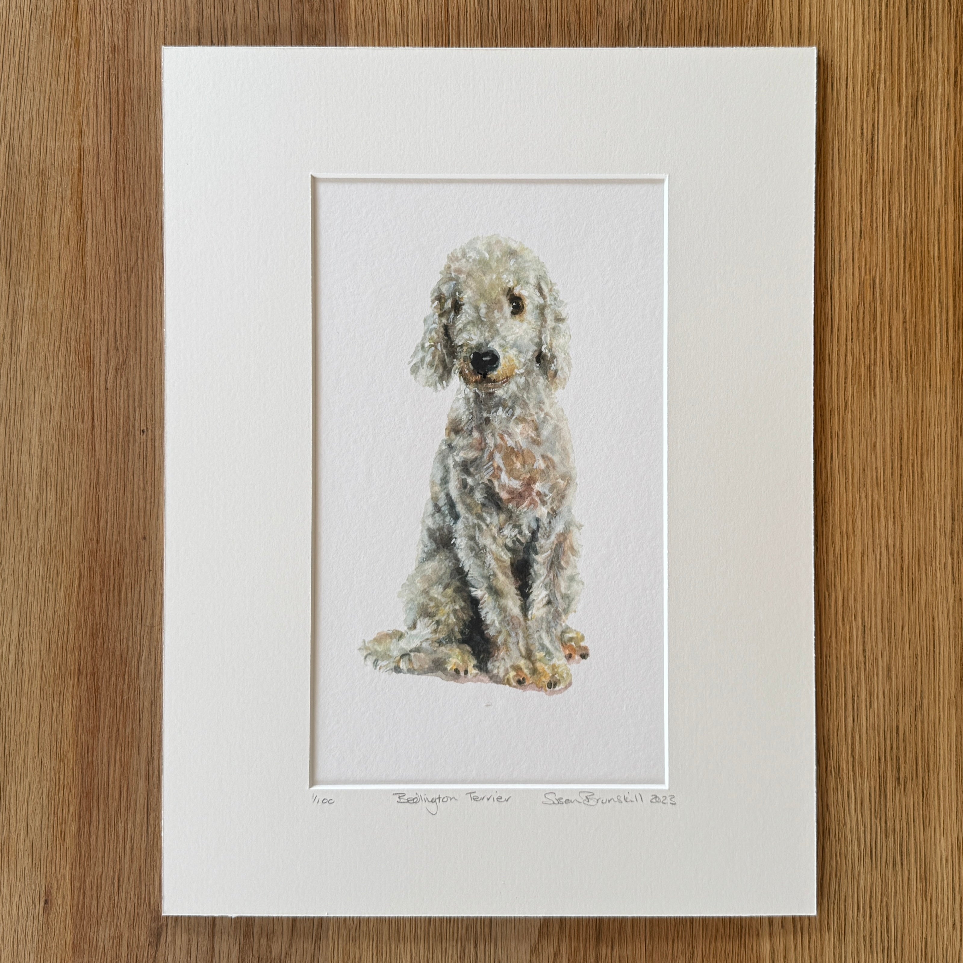 Bedlington Terrier - Giclee Print
