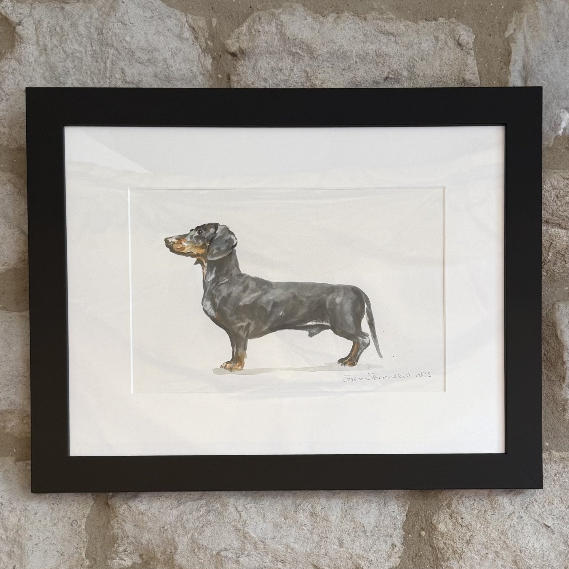 Dachshund - Original Watercolour Painting