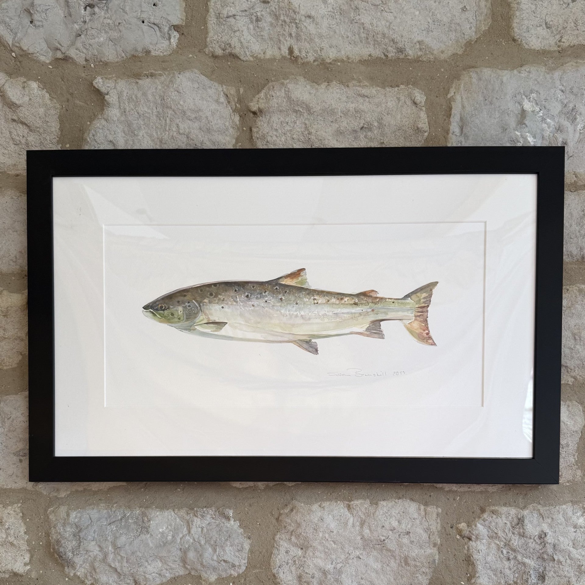 Atlantic Salmon - Original Watercolour Painting